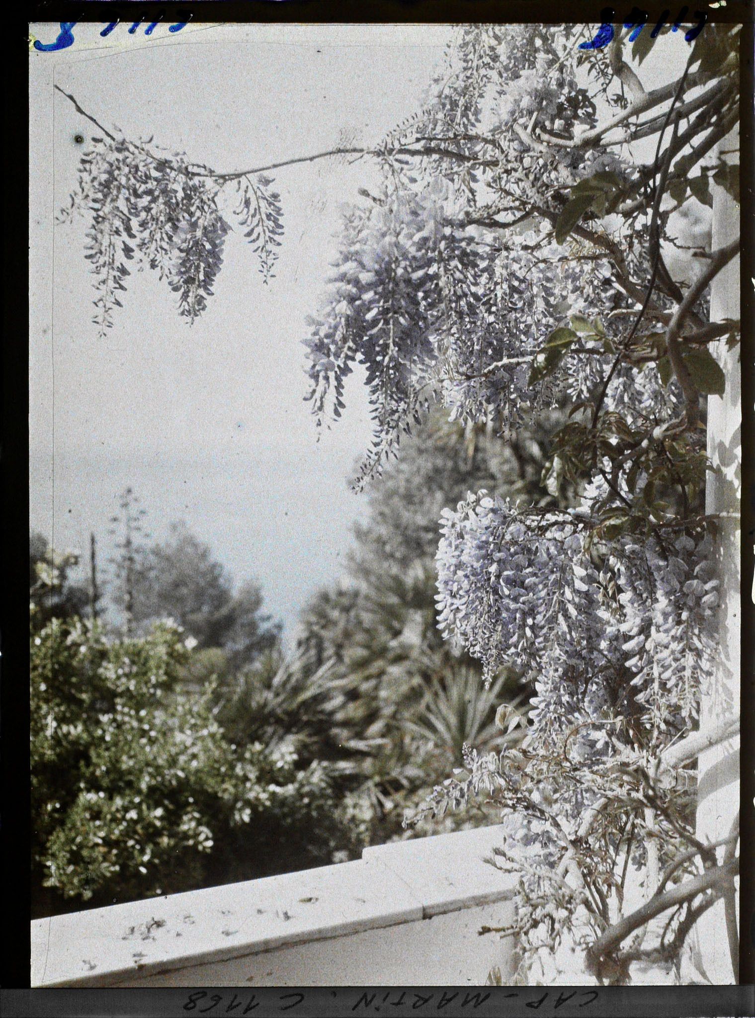 Image représentant le jardin