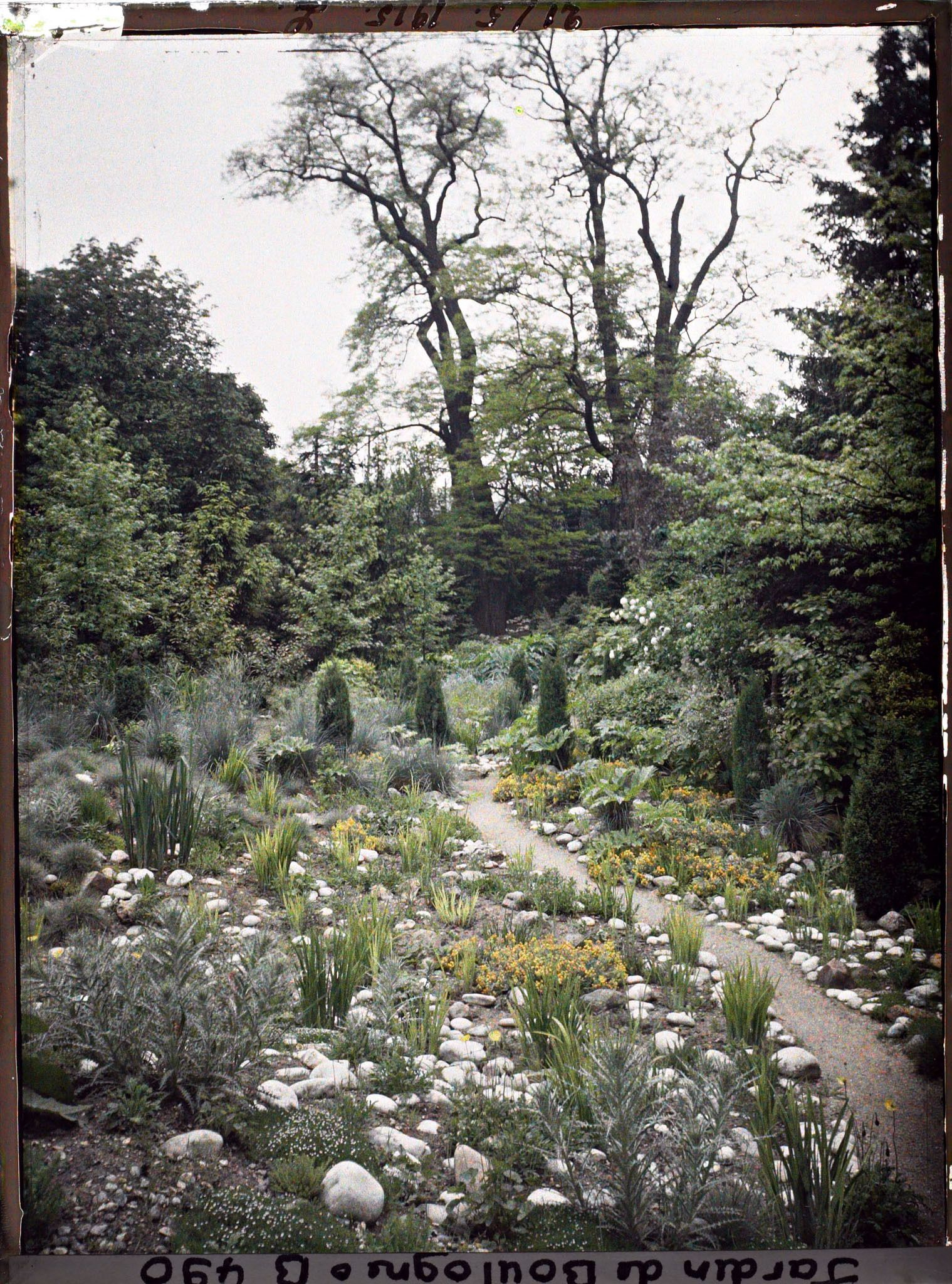 Image représentant Chemin ponctué de galets, diverses plantes et conifères, menant vers le fond du " sanctuaire japonais "