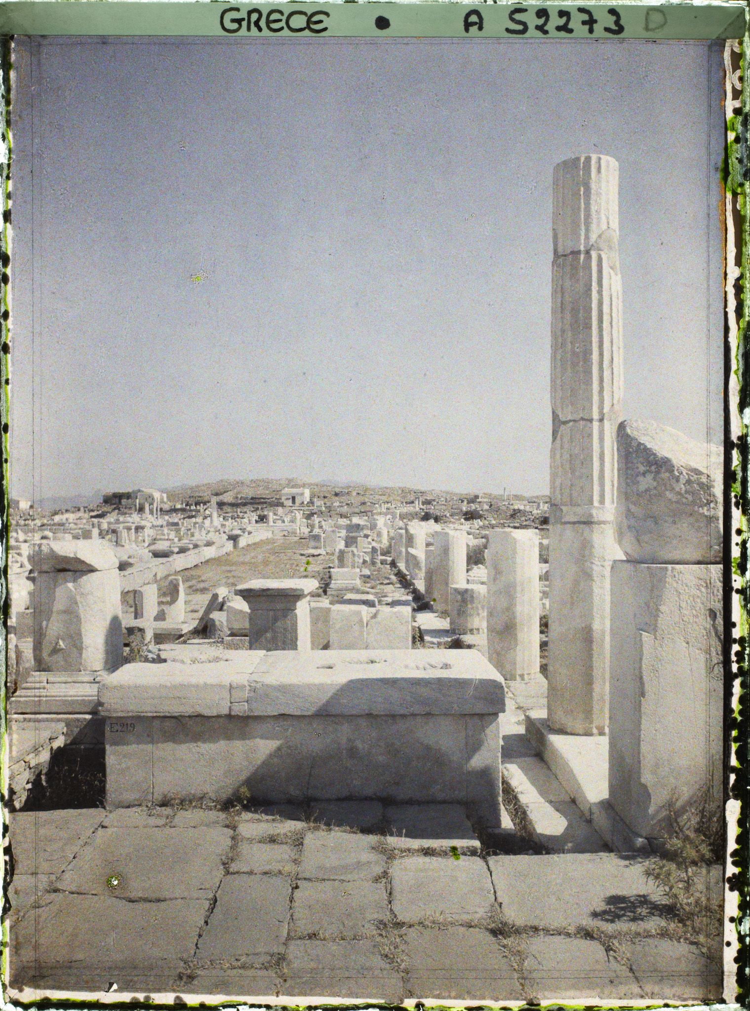 Image représentant Quartier du Hieron (sanctuaire) d'Apollon, l'avenue des Processions conduisant au Hieron (direction nord)