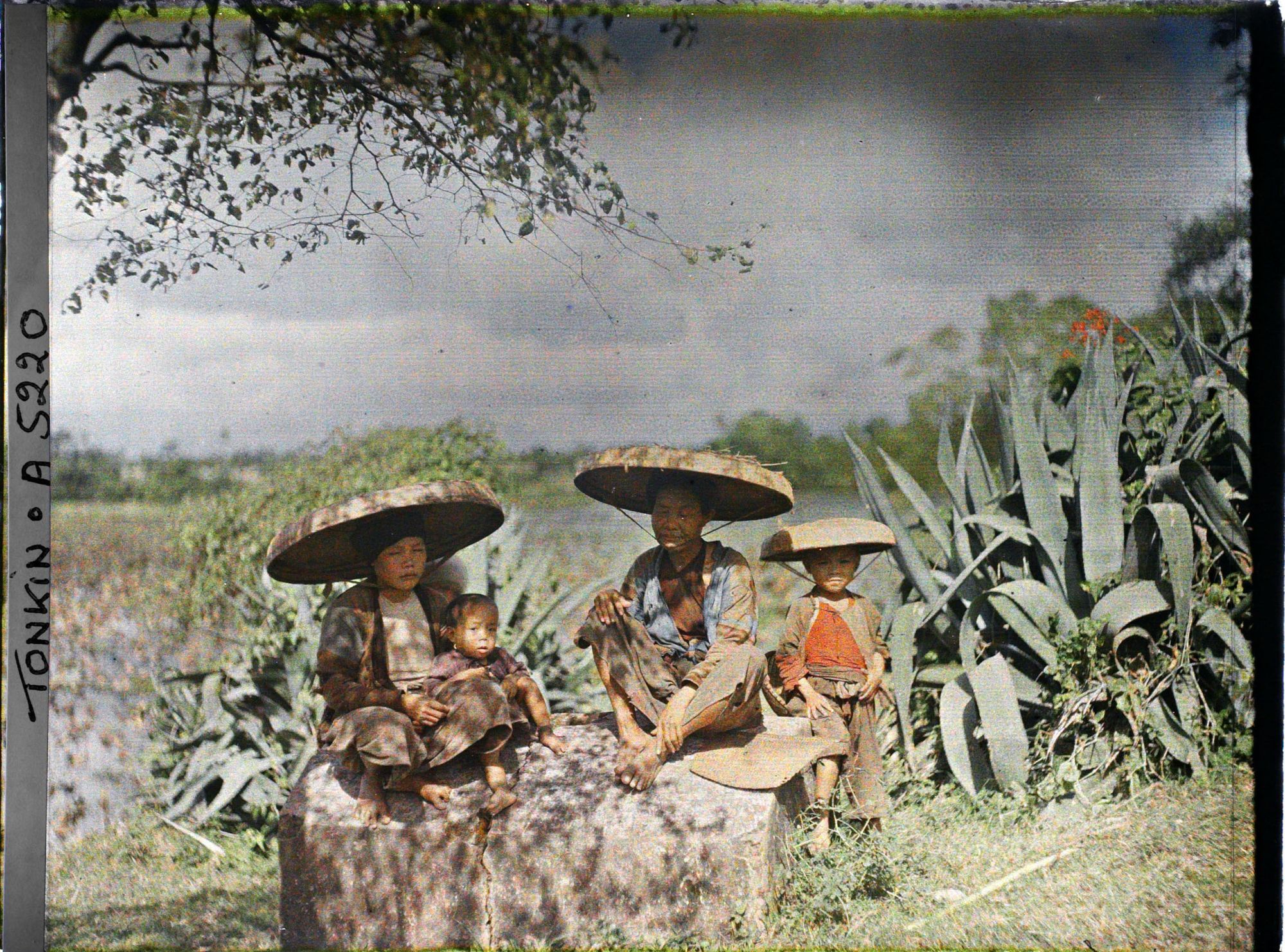 Image représentant Des mendiantes aveugles et leurs enfants