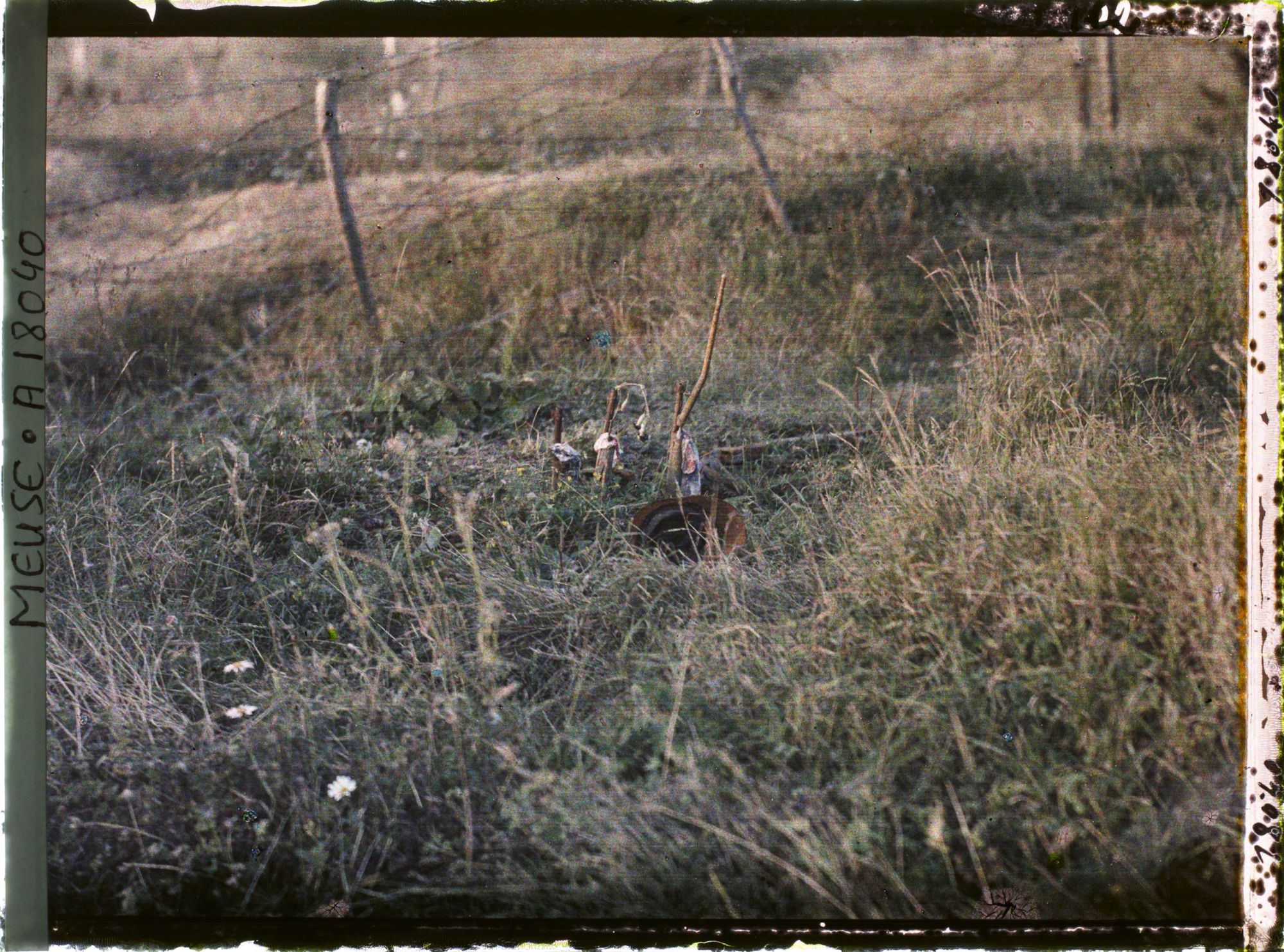 Image représentant France, Thiaumont, Tranchée de Thiaumont les fusils sortant de terre avaient été attachés par des étoffes tricolores