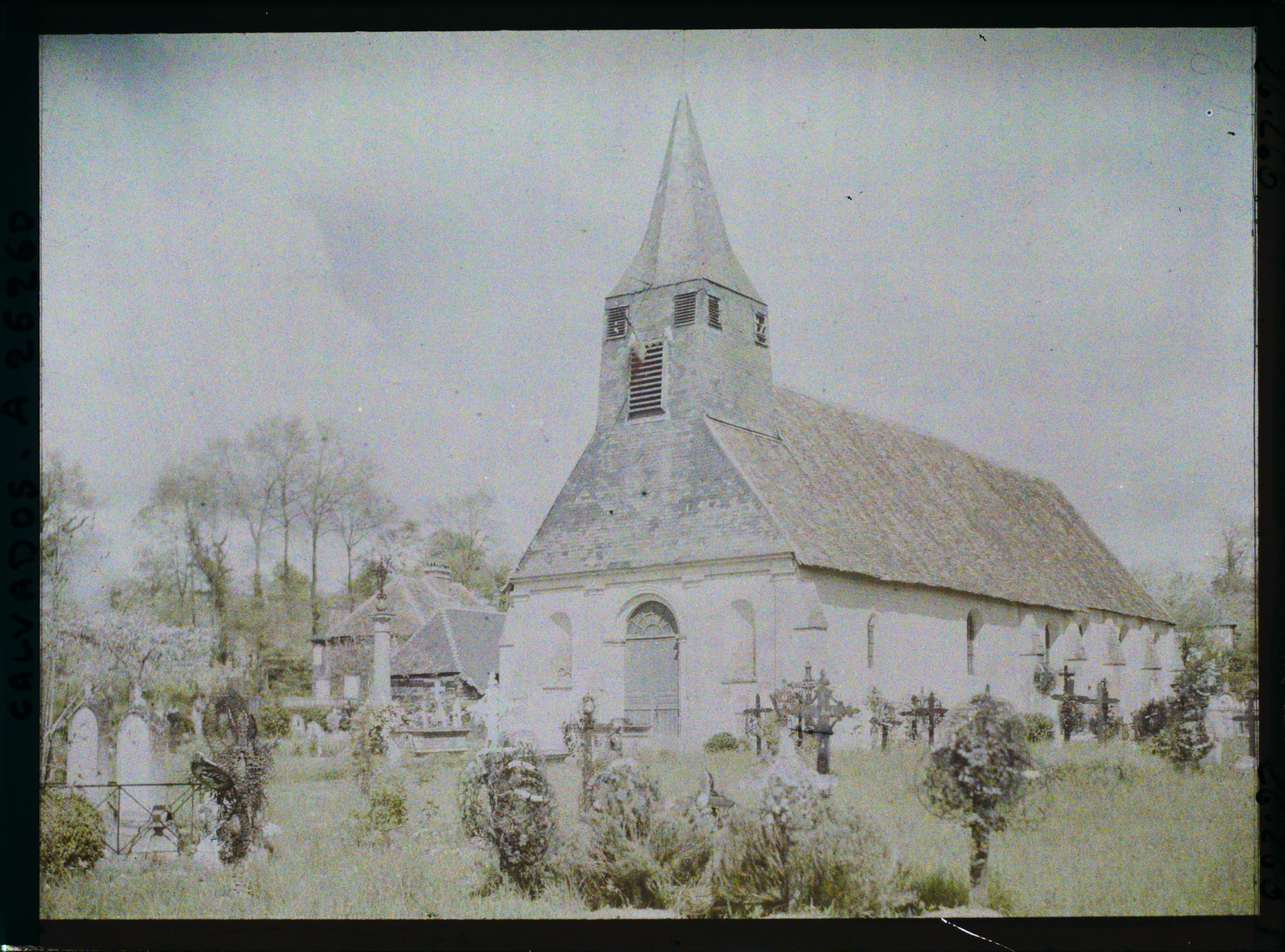 Image représentant L'église Saint-Martin et son cimetière