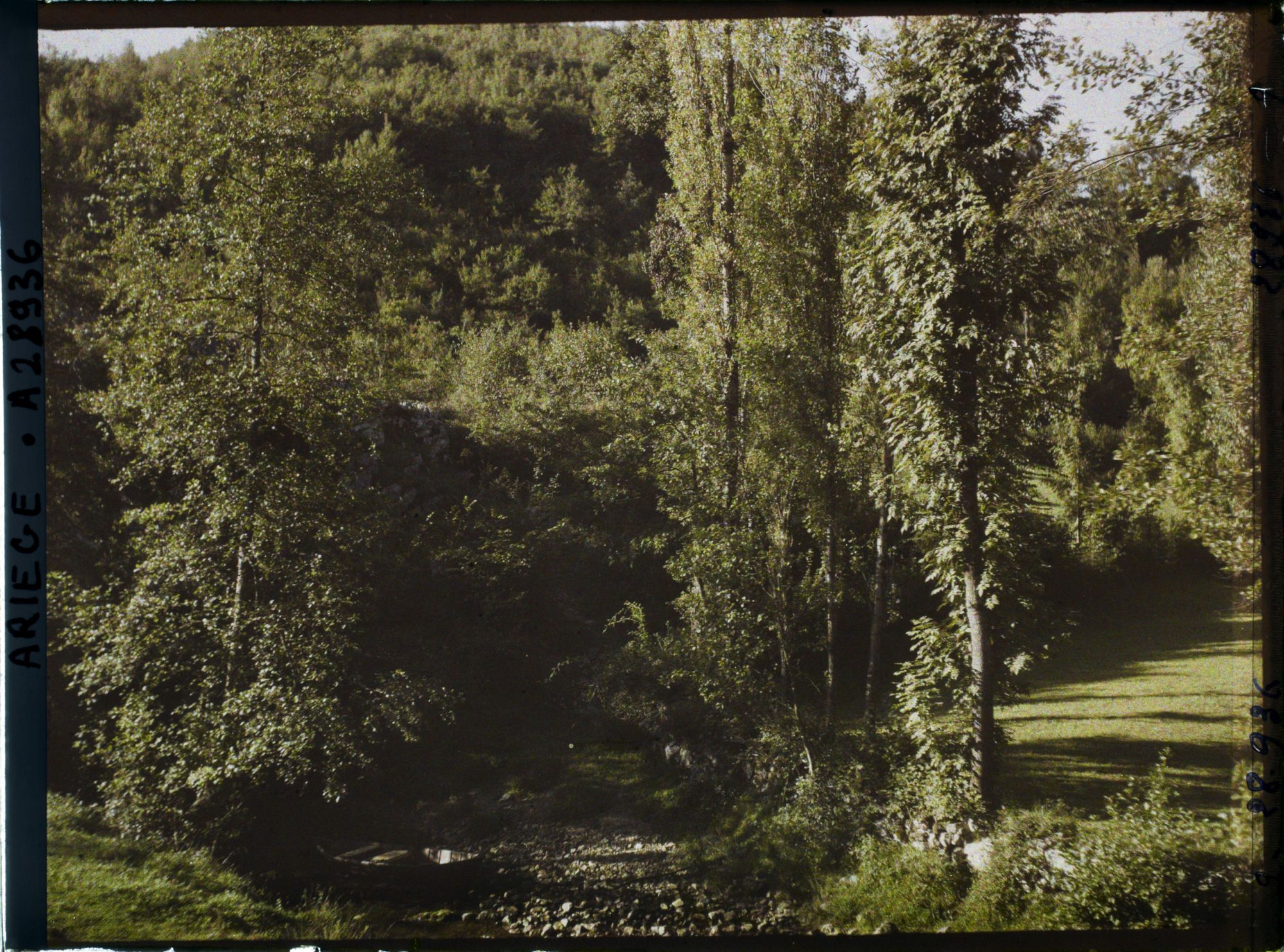Image représentant L'ensemble de la grotte du Tuc d'Audoubert
