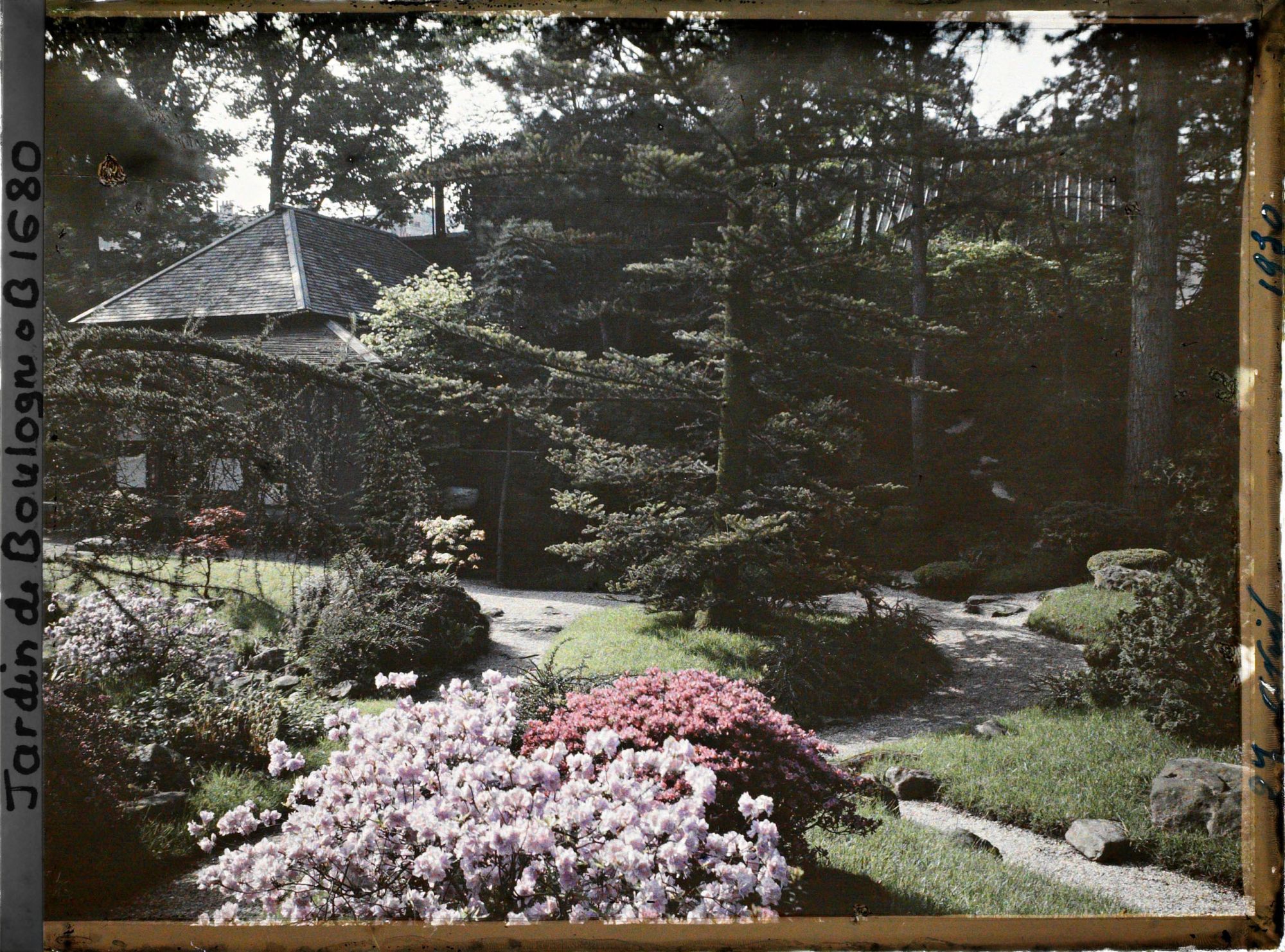 Image représentant Buissons d'azalées au croisement de chemins du " village japonais ", proche de la maison ouest. A travers les arbres on devine la toiture d'une construction japonisante
