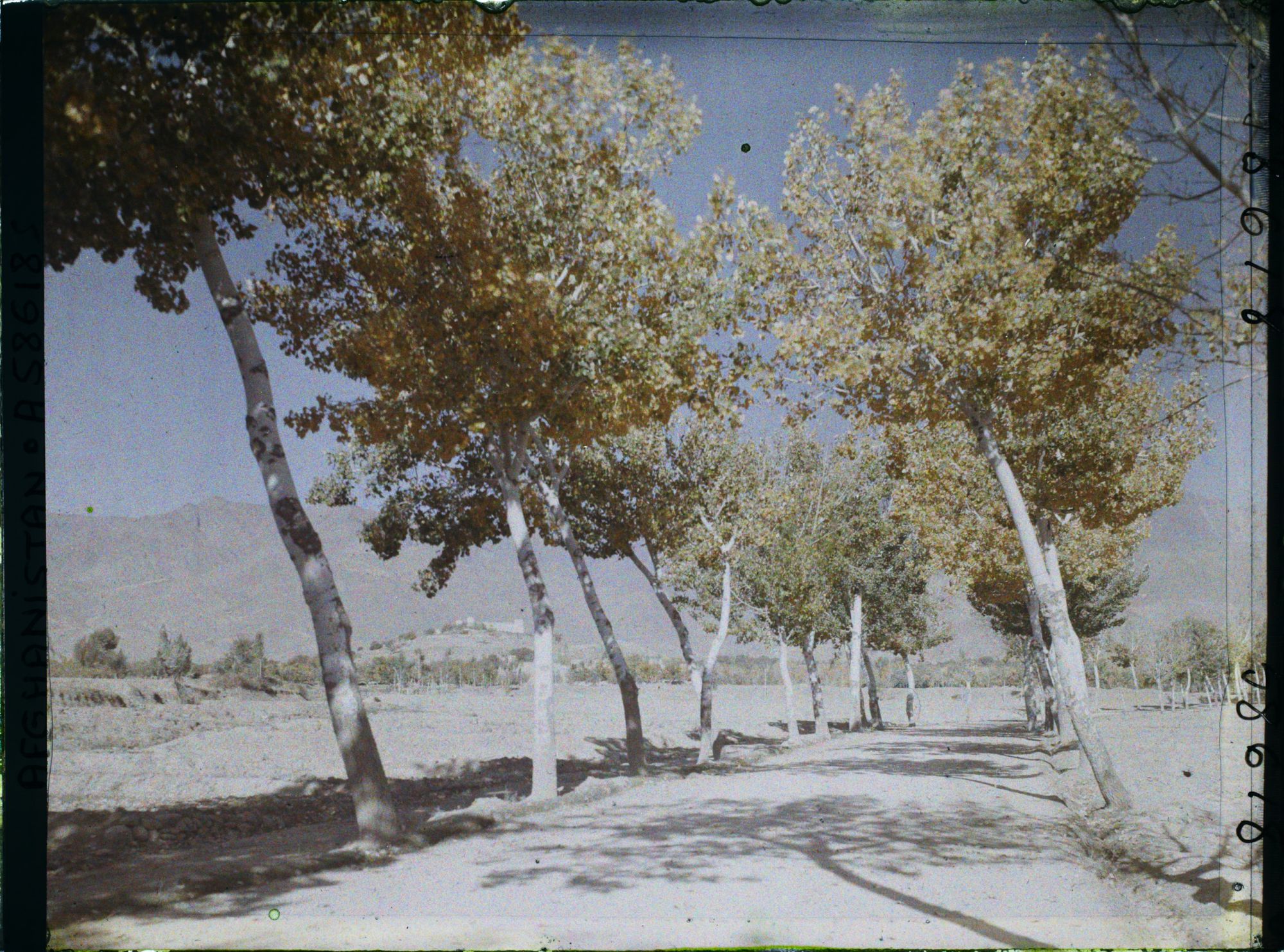 Image représentant Afghanistan, Kaboul, La route de Paghman Kaboul, autre aspect