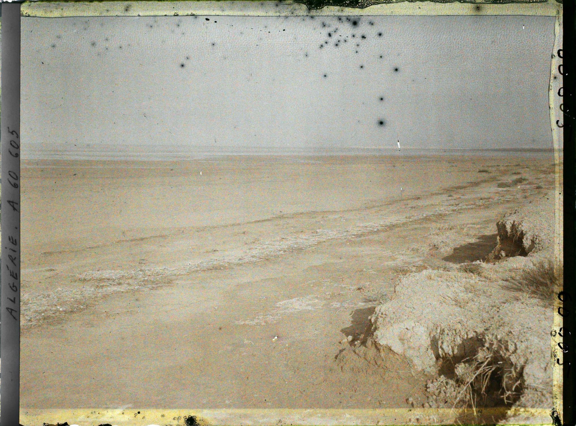 Image représentant Les berges de la grande Sebka d'Oran