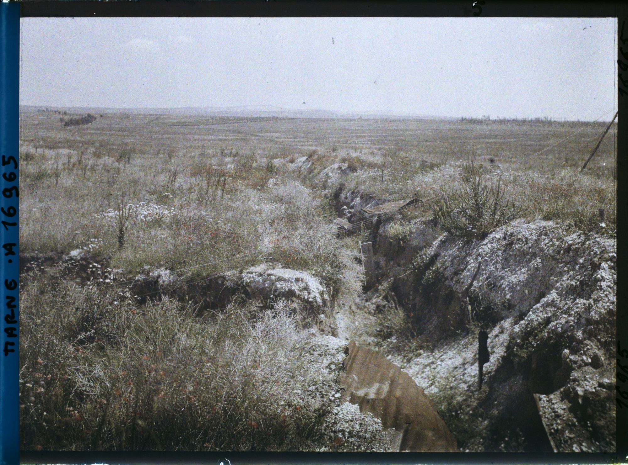 Image représentant France, Panorama sur les monts de Champagne