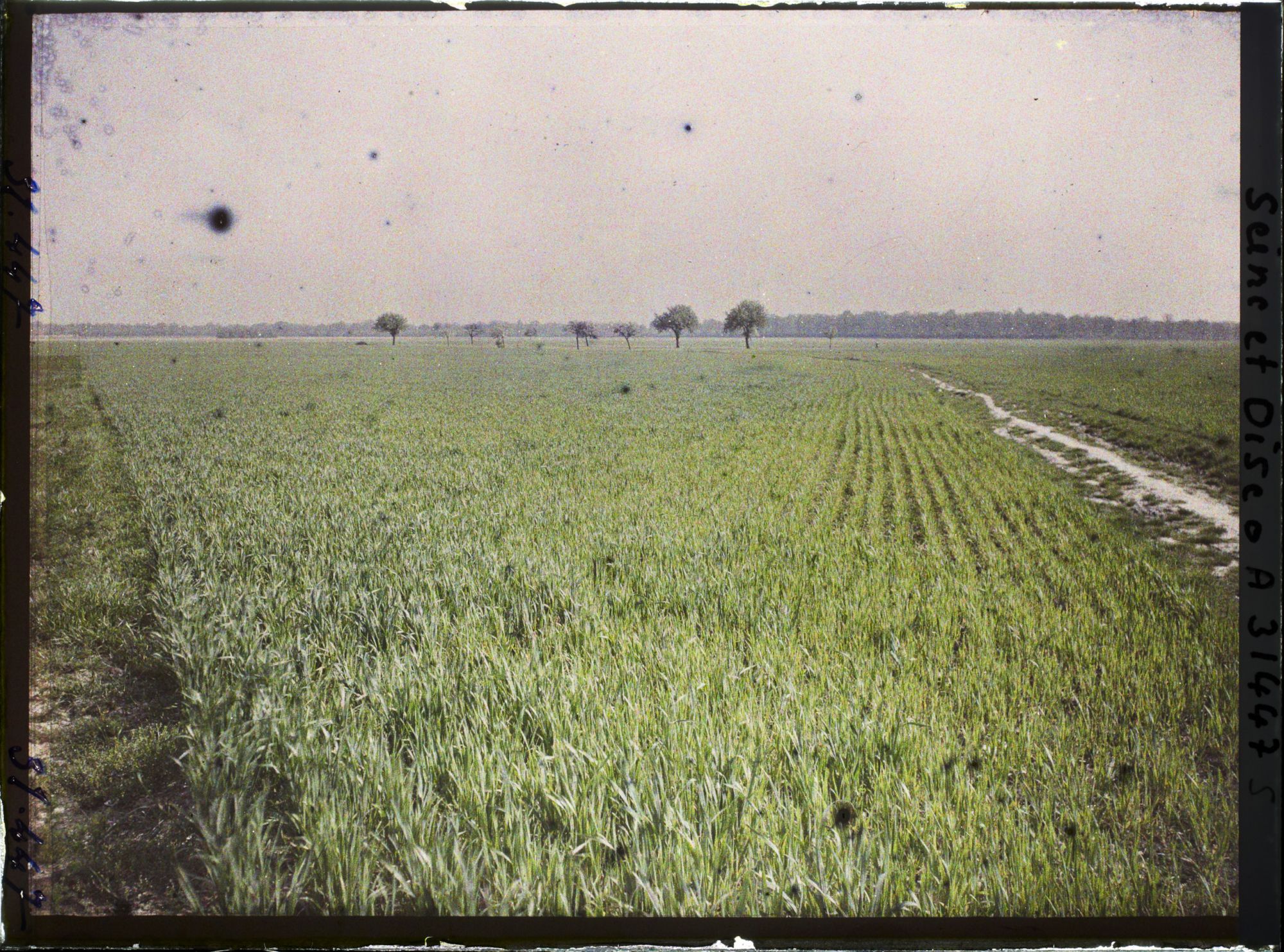 Image représentant France , Trappes (Seine et Oise), Deux Champs de blé, vue prise de la Voie ferrée