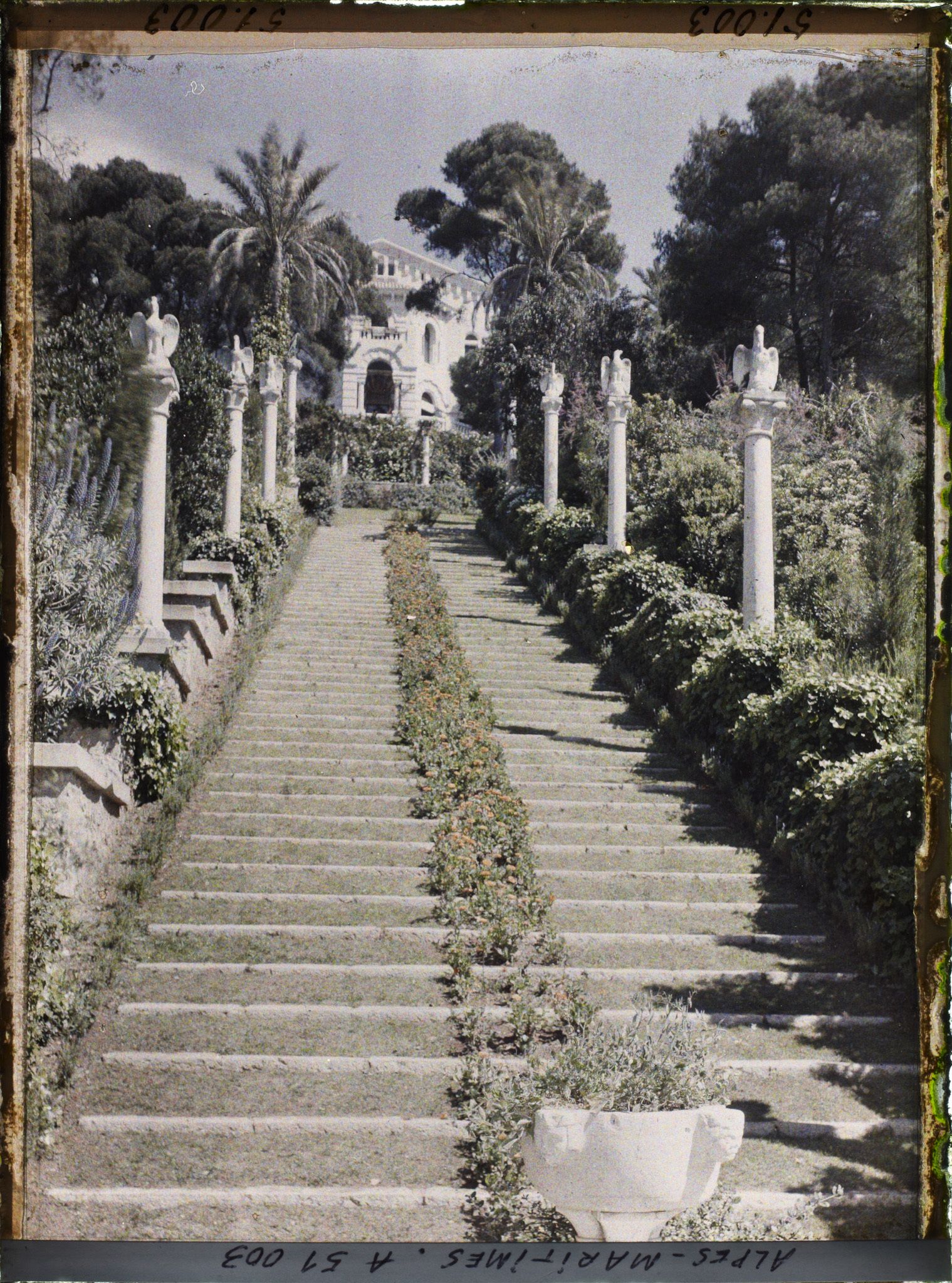 Image représentant La villa Cypris dominant le grand escalier fleuri de son jardin, ponctué de sculptures
