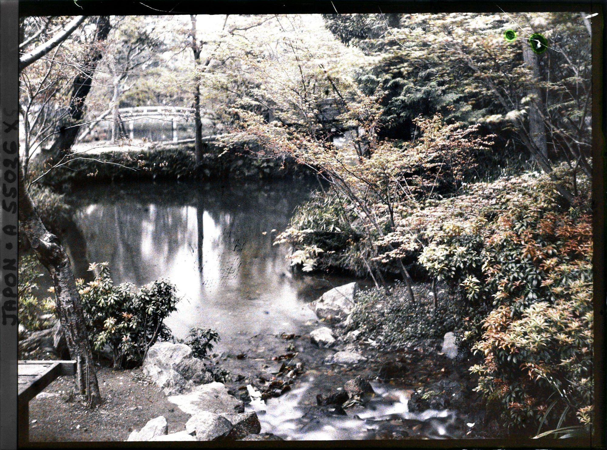 Image représentant Le temple Eikan-dô Zenrin-ji : ruisseau dans les jardins