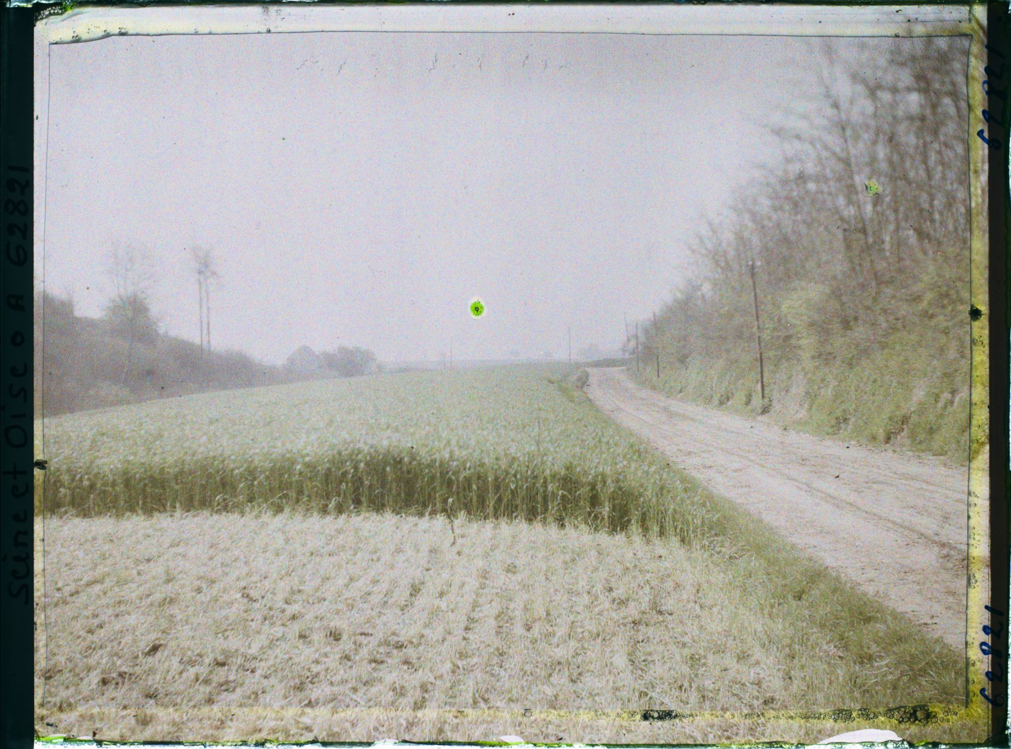 Image représentant Ile de France, Bessancourt, Champ de seigle