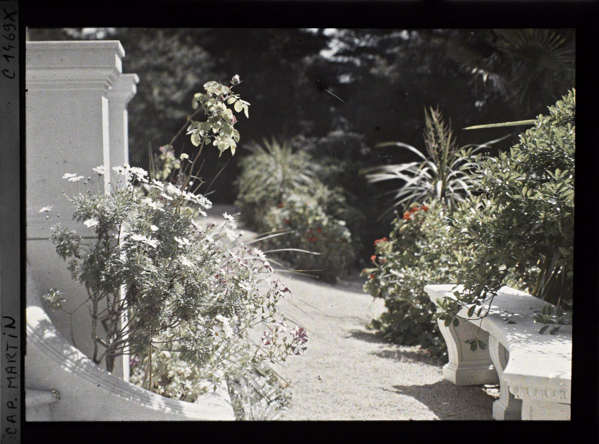 Image représentant Villa Miramar fleurs près du perron