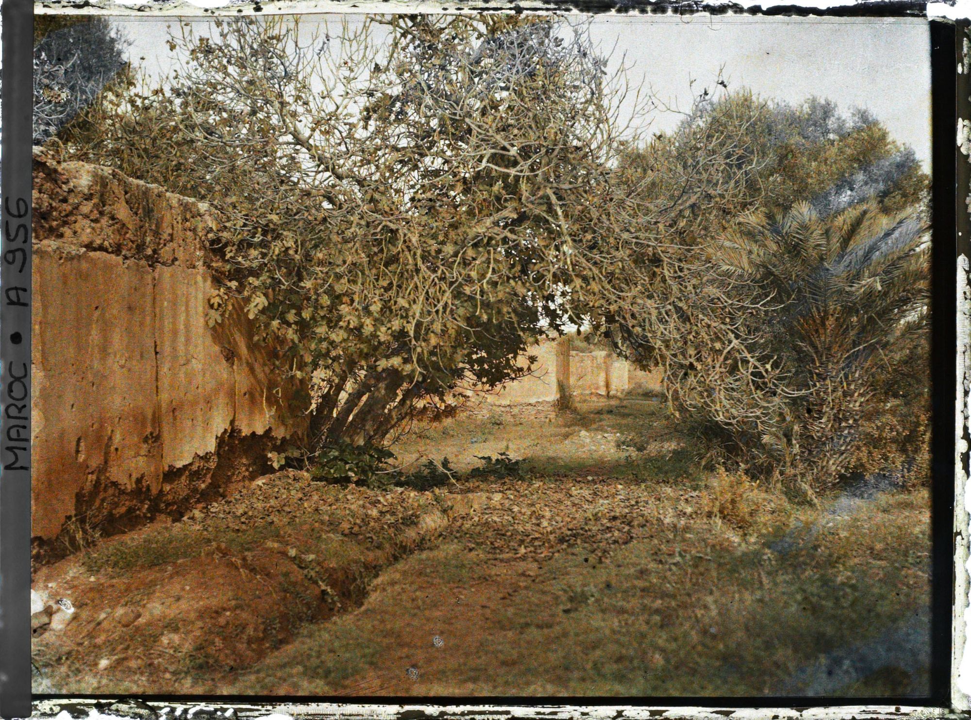 Image représentant Une partie des jardins du Dar el Maghzen