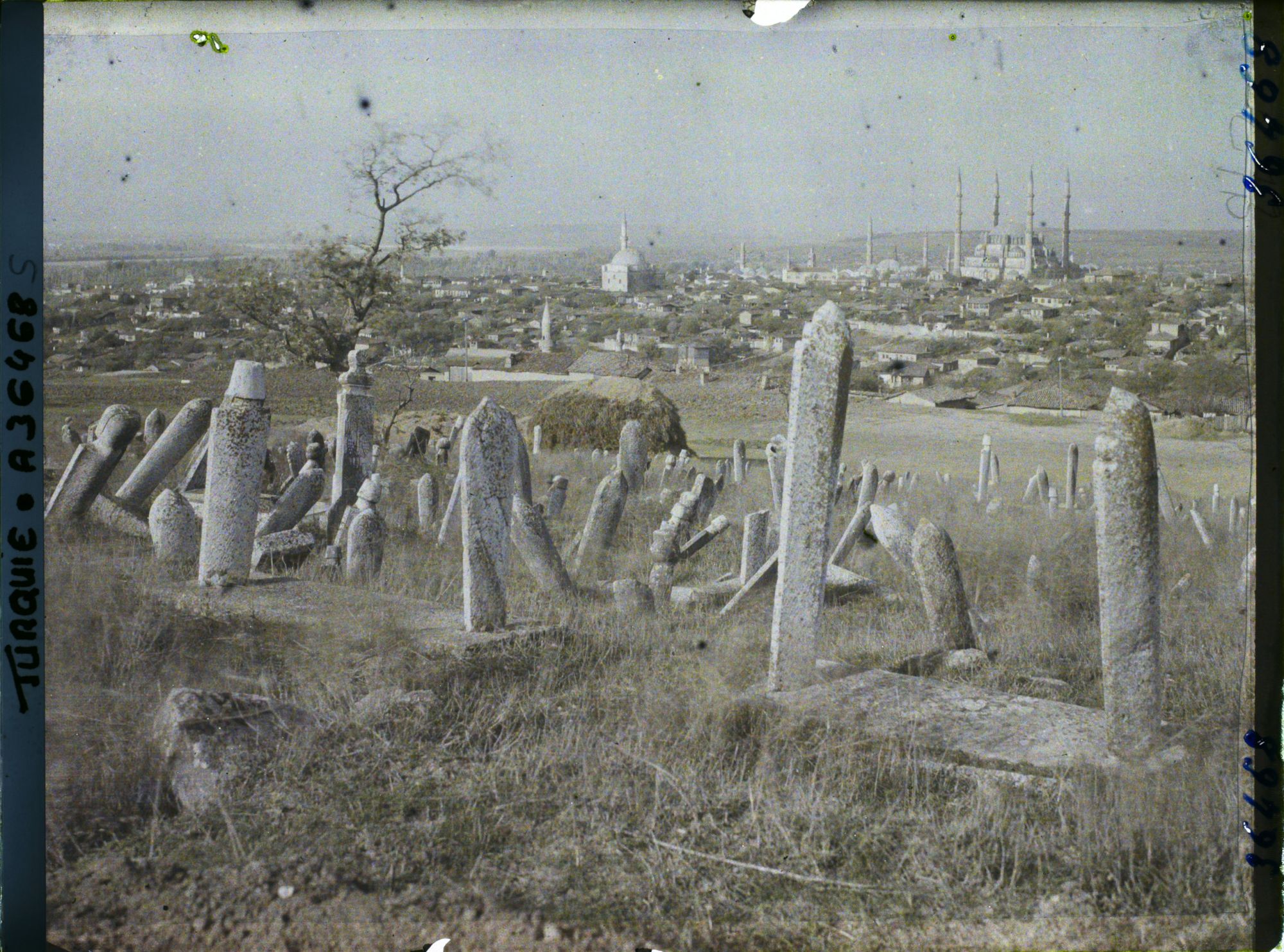 Image représentant Cimetière musulman (tombes et colonnes funéraires). Au fond, la ville avec la Selimiye Camii (mosquée du Sultan Selim)
