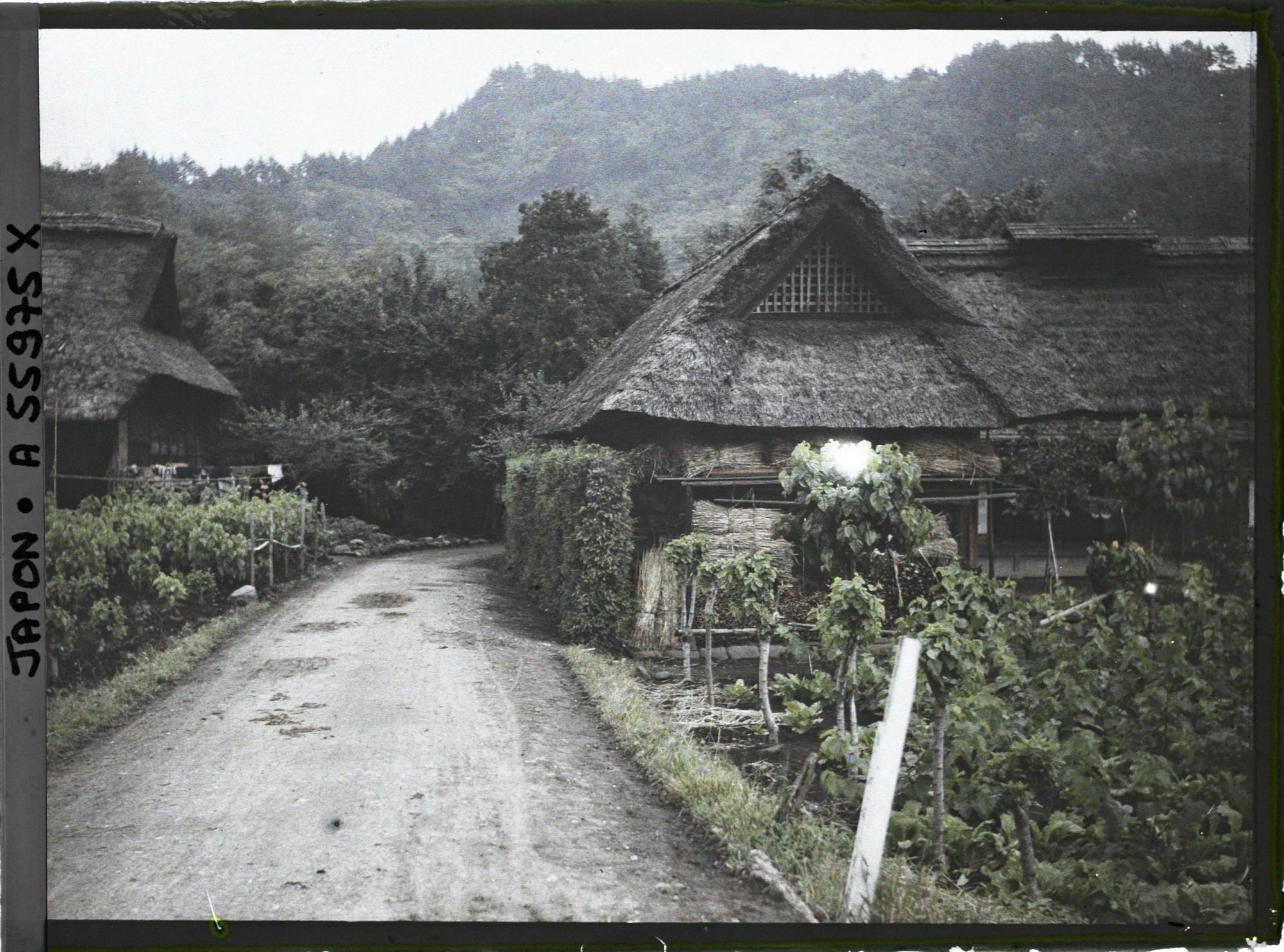 Image représentant Vallée de la Tamagawa (rivière Tama)