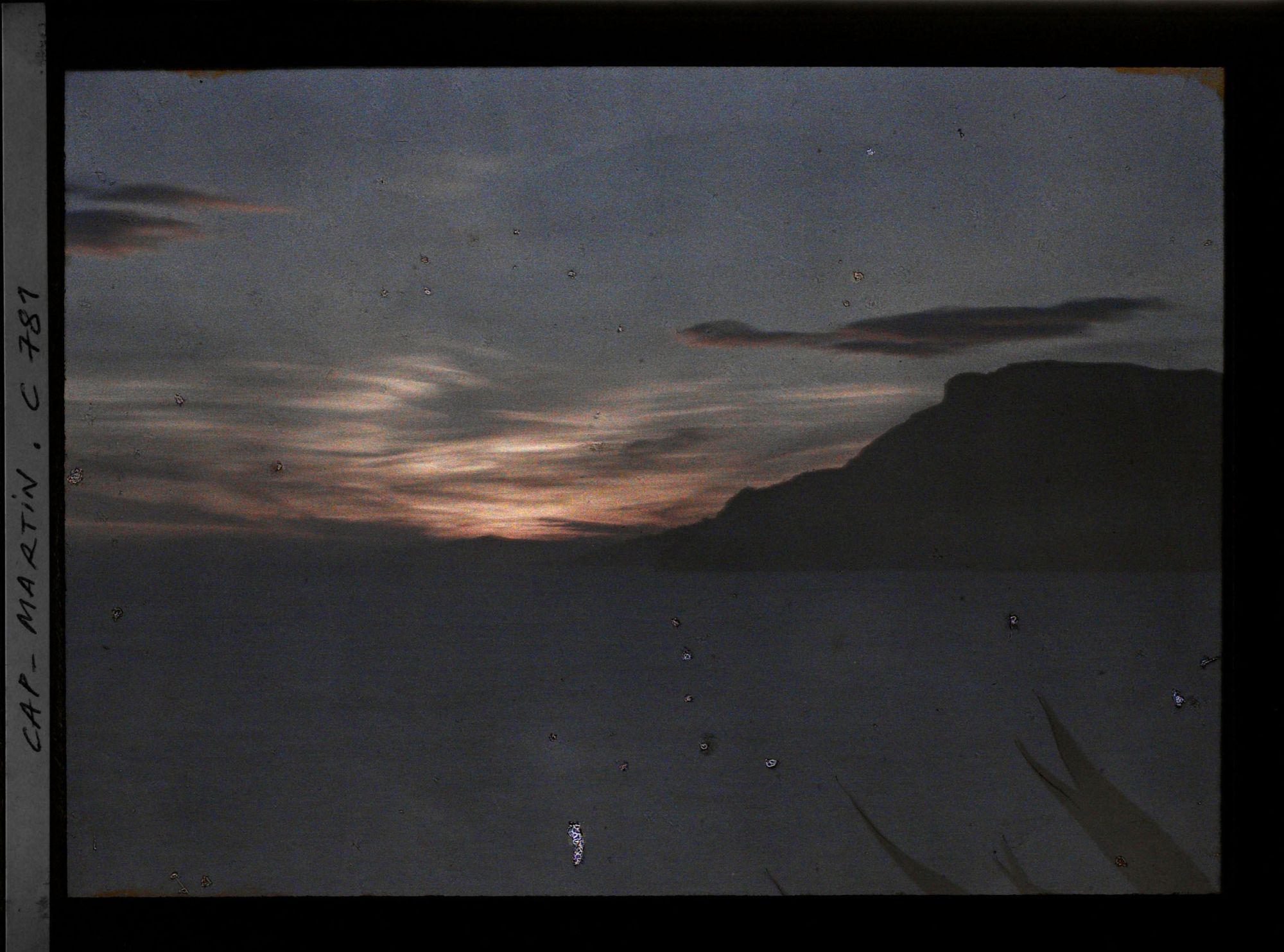 Image représentant Plantes exotiques se découpant dans le soleil couchant, en direction de Monaco