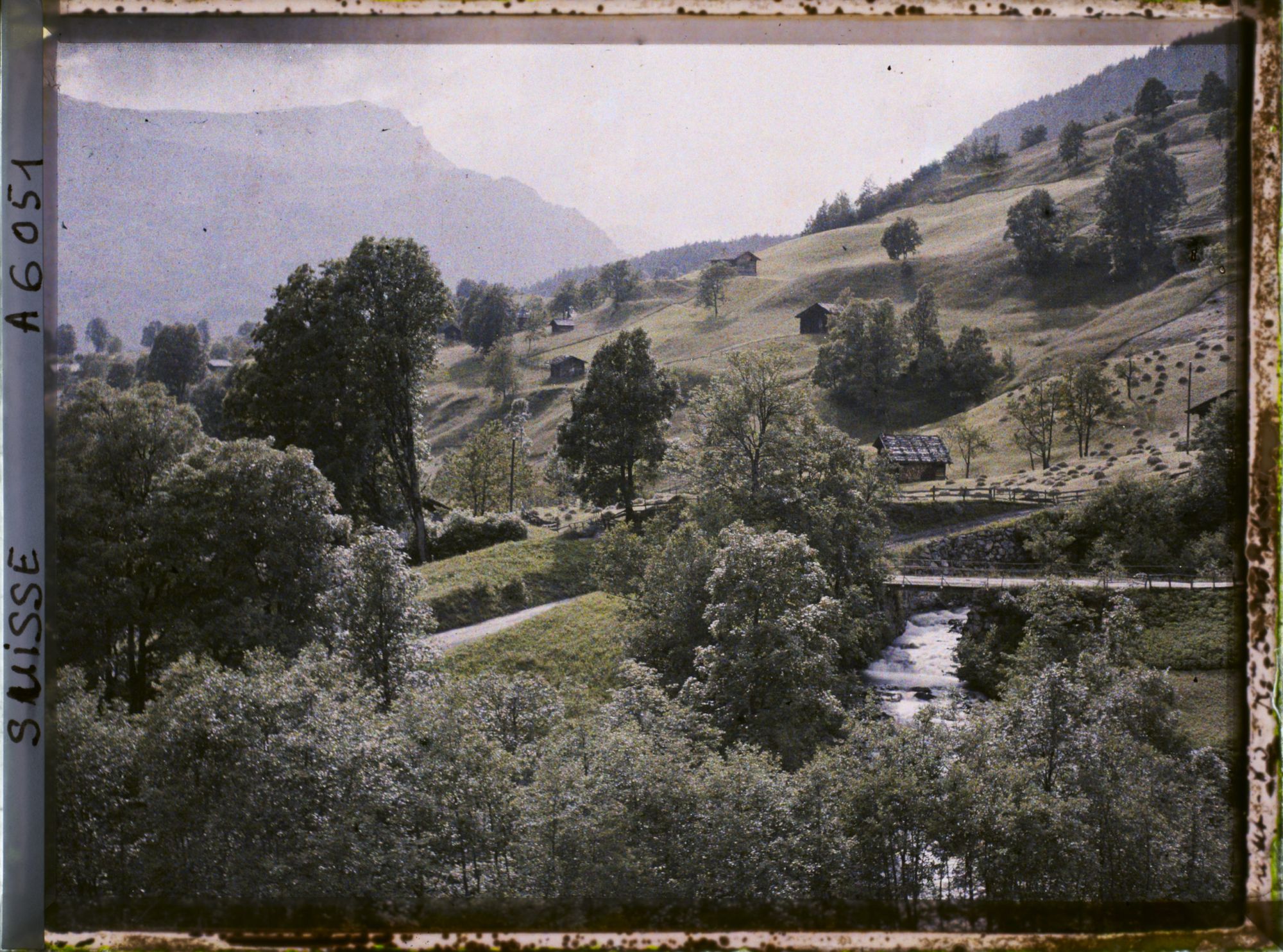 Image représentant La route de Rosenlaui depuis la vallée