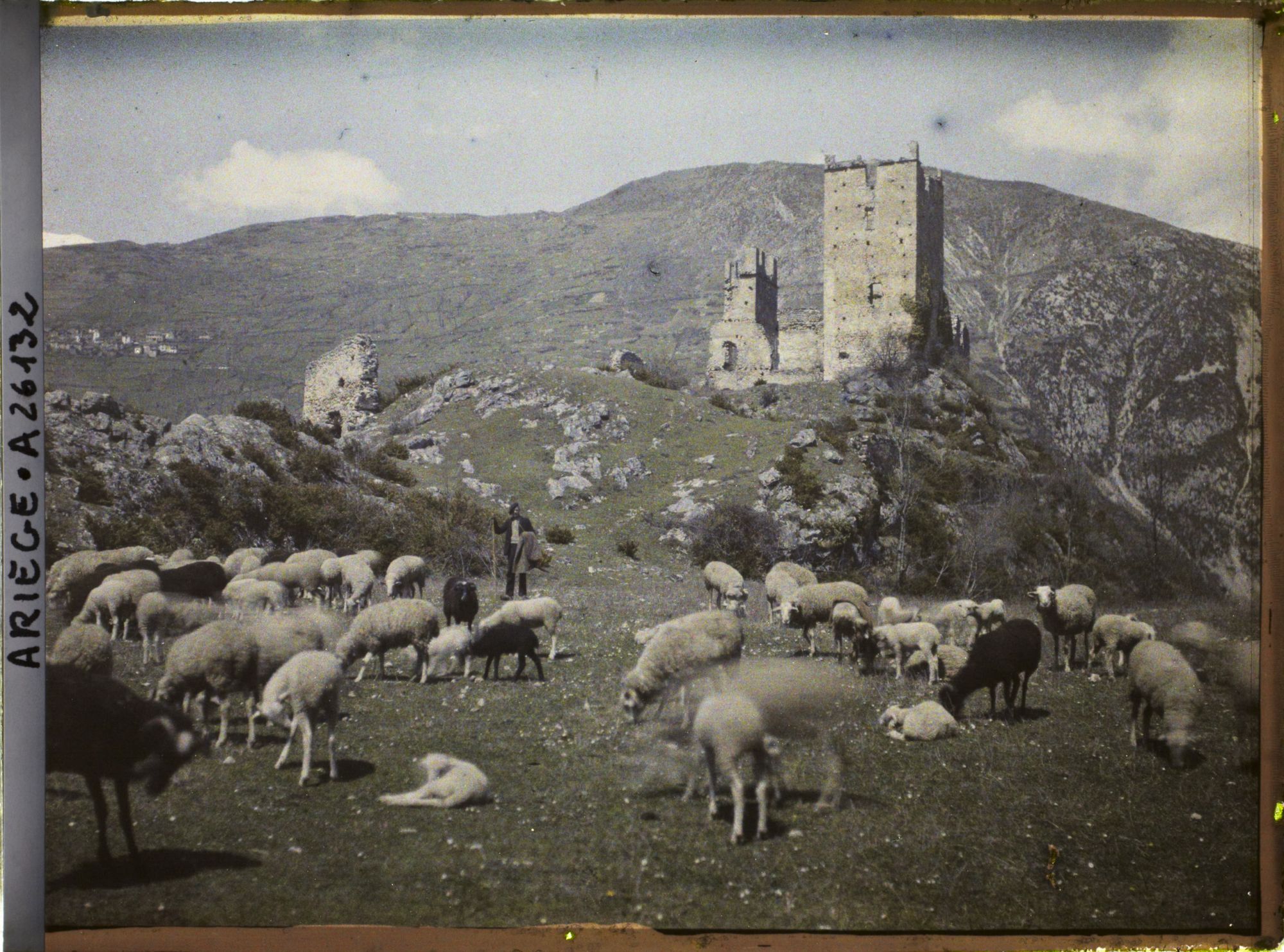 Image représentant Troupeau de moutons et le vieux château de Miglos