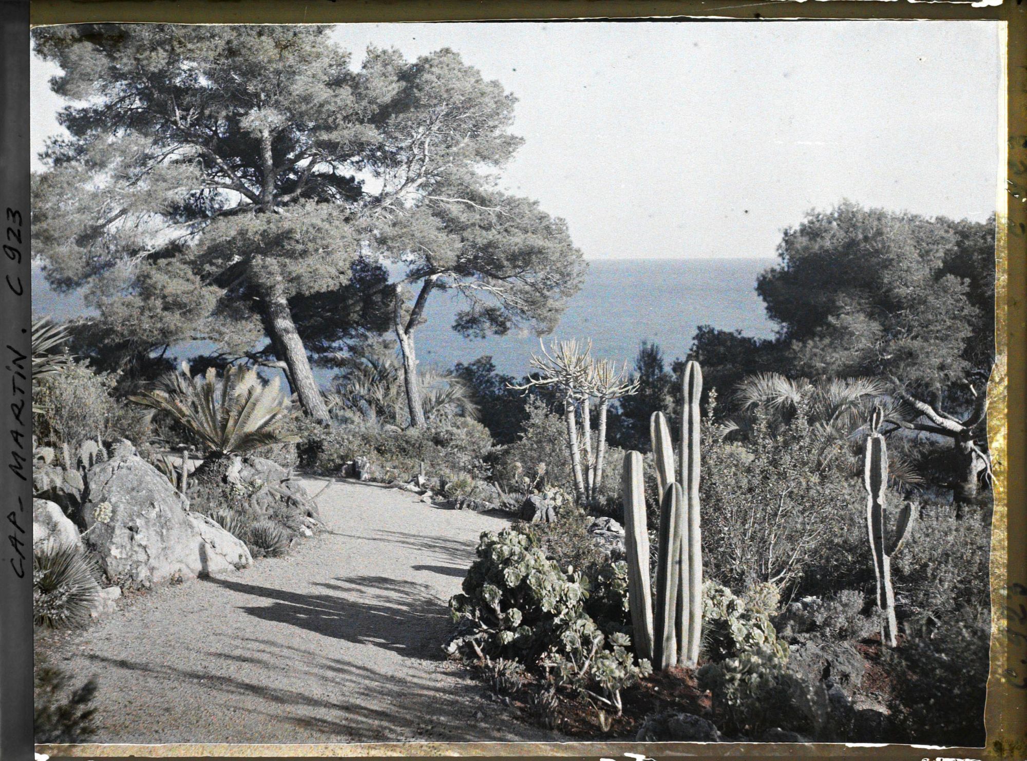 Image représentant Le Jardin, vue vers la mer
