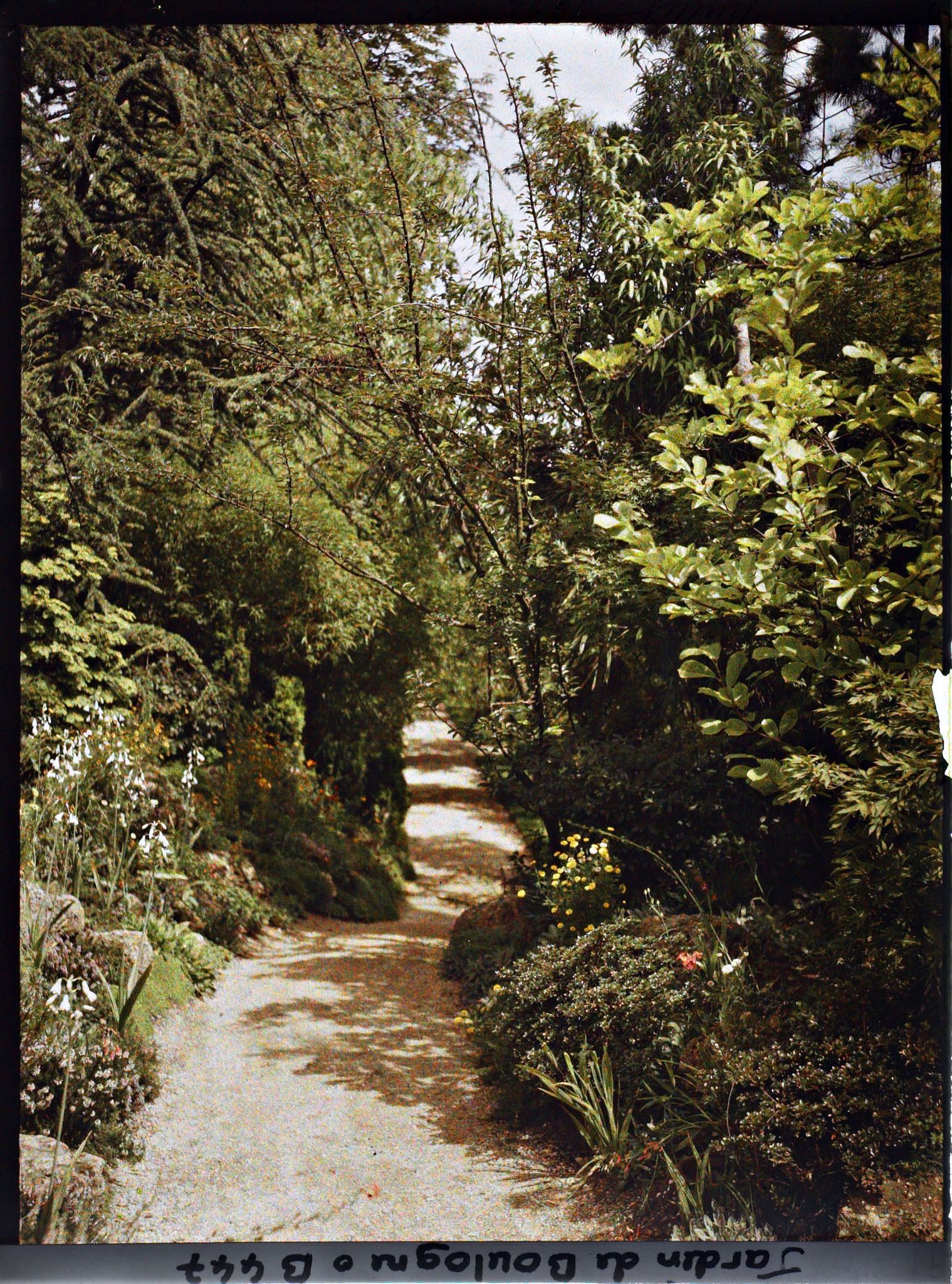 Image représentant Chemin fleuri du " sanctuaire japonais " non loin du sôrintô, menant au verger-roseraie