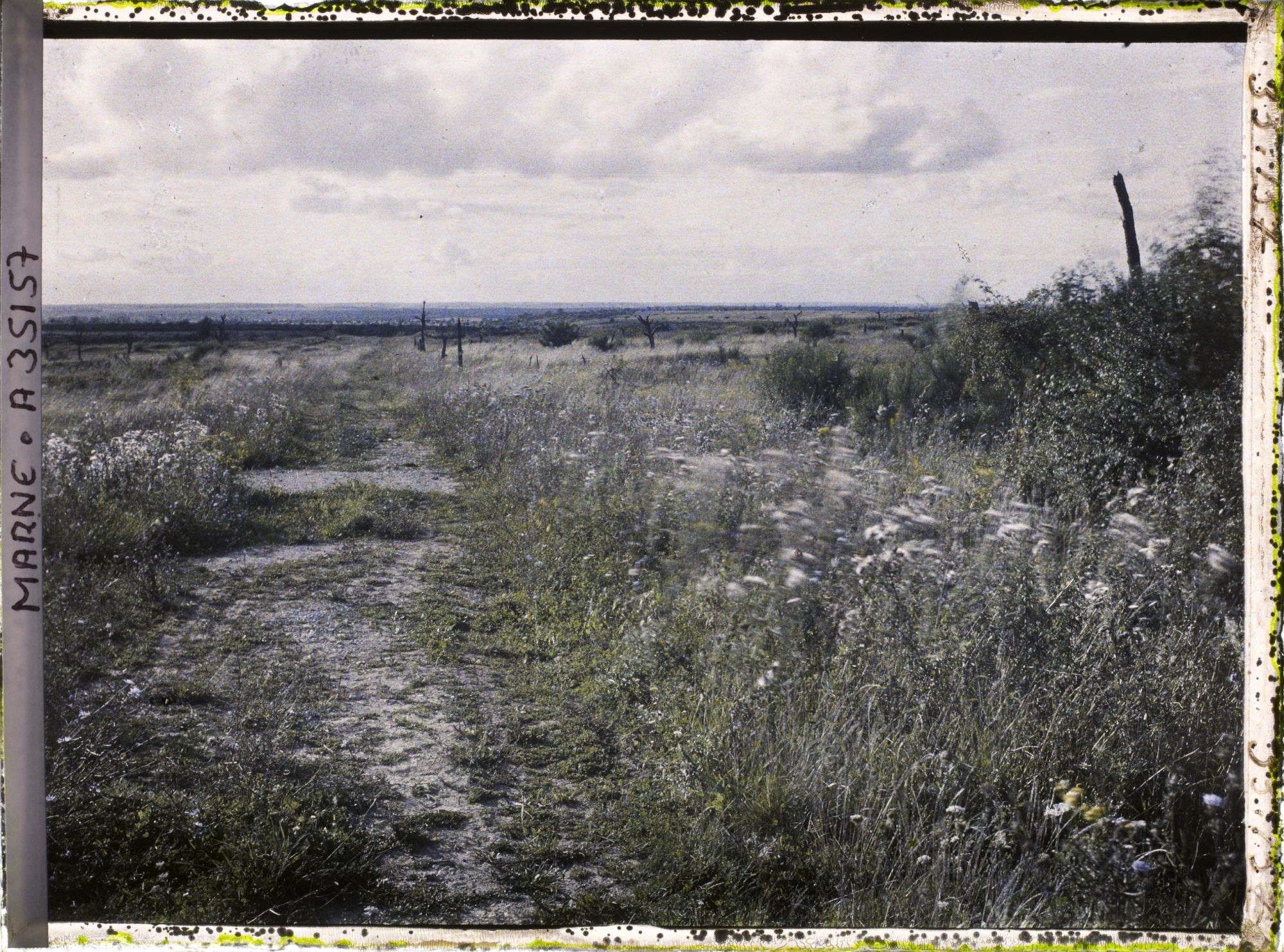 Image représentant France, Vienne le Château , Sortie Ouest du Bois de la Gruerie par ce qui était la route de Varennes à Servon
