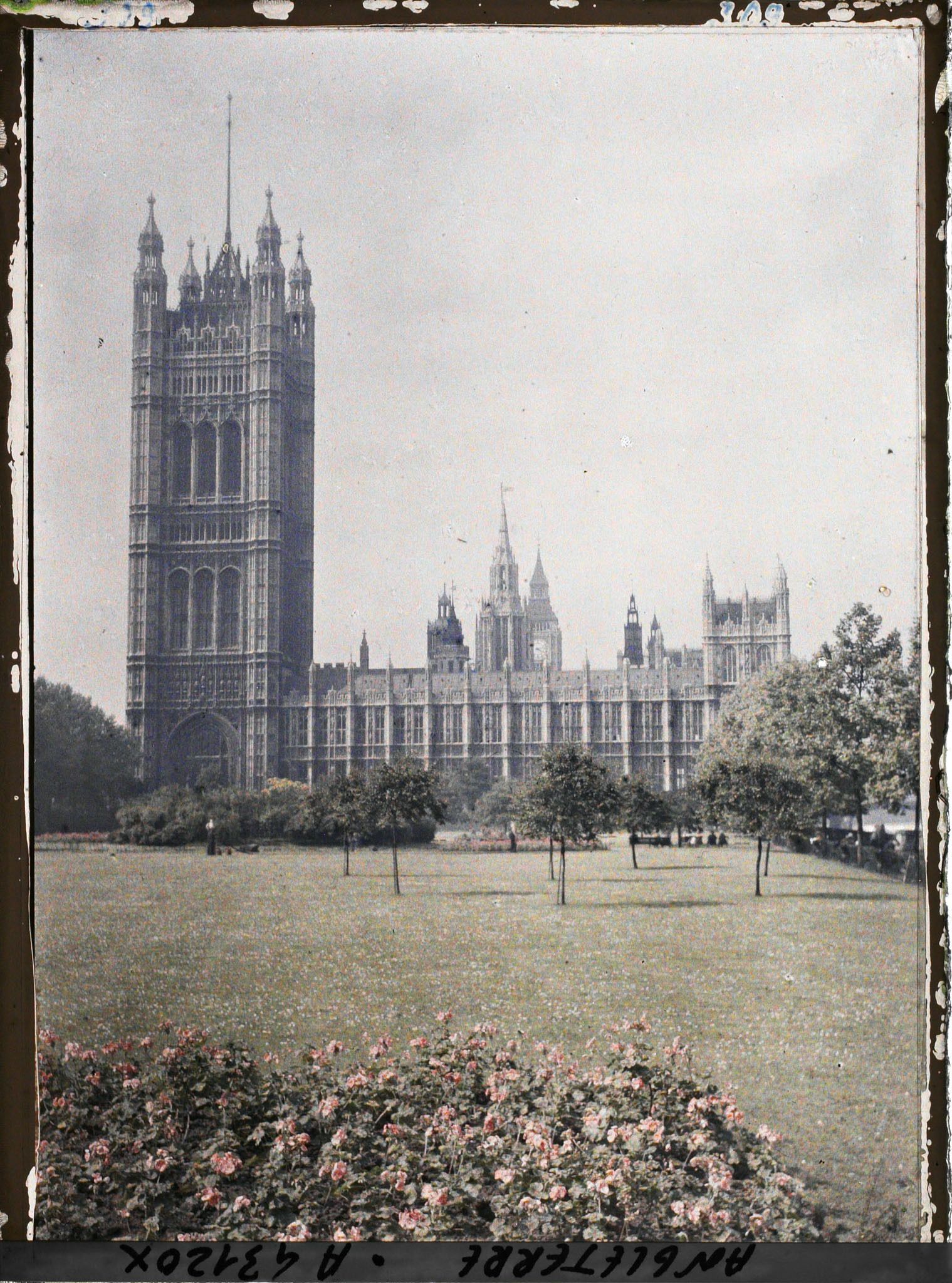 Image représentant Westminster et Victoria corner garden