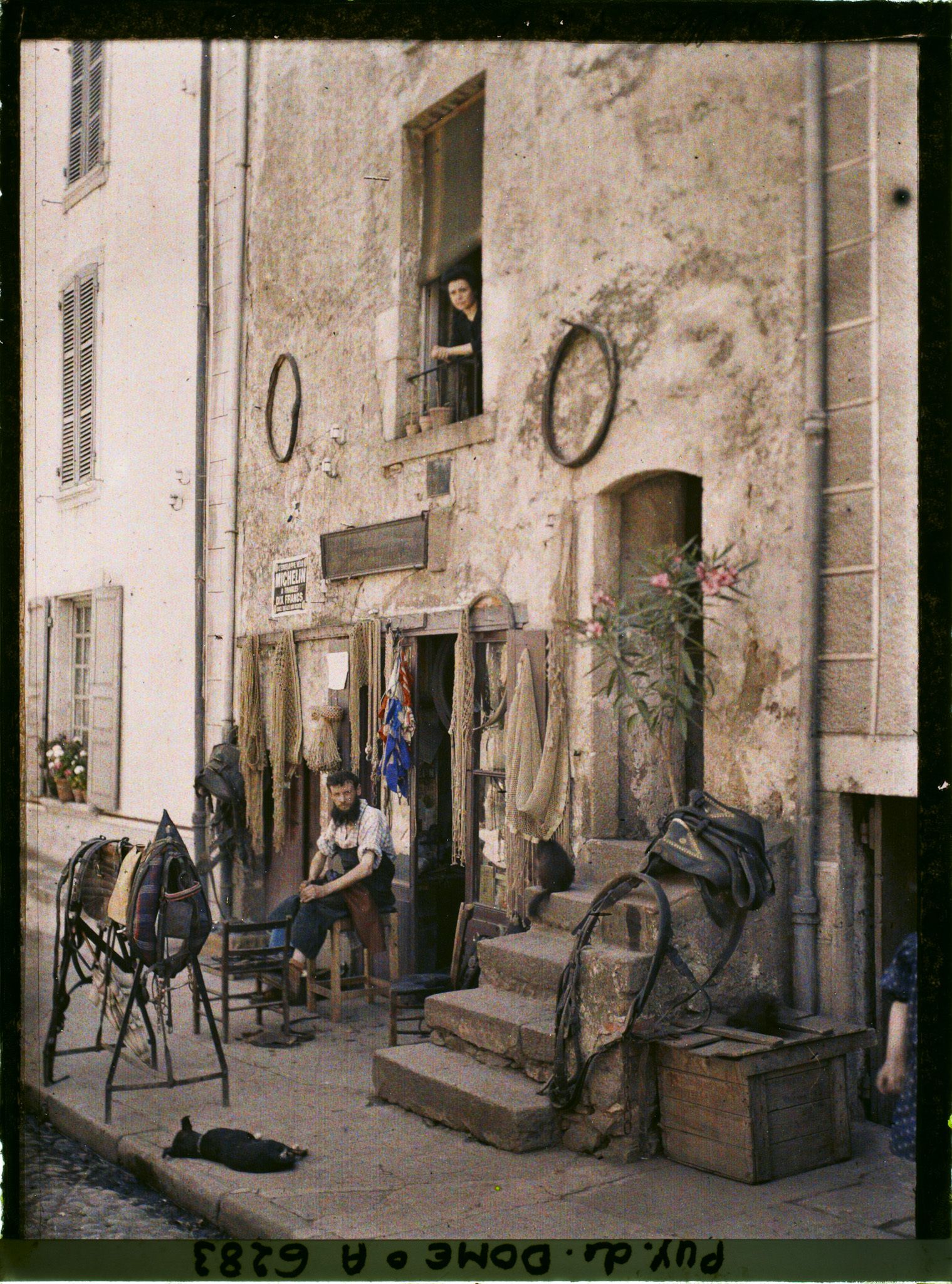 Image représentant France, Coudes