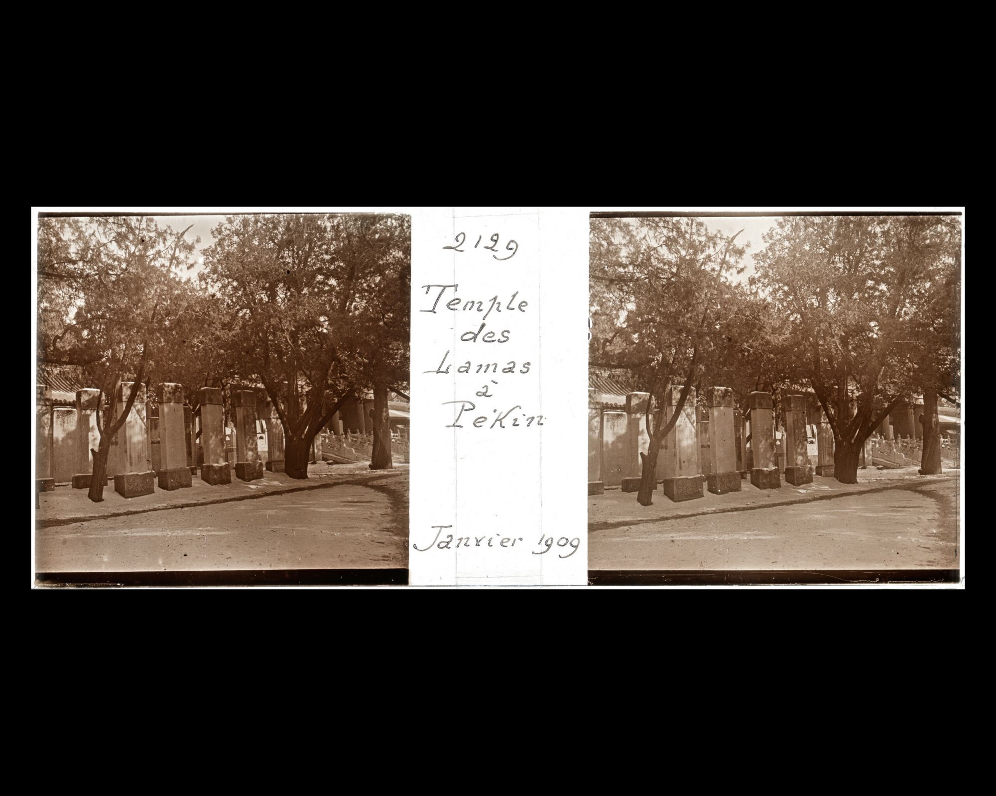 Image représentant Kongmiao ("temple de Confucius"). L'angle nord-ouest de la "forêt de stèles" devant Dachengmen ("porte de la Réussite Suprême")