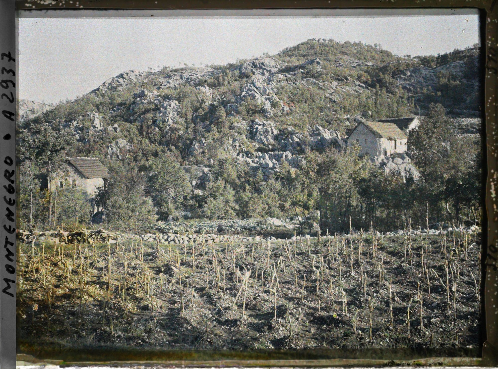 Image représentant Route de Kotor