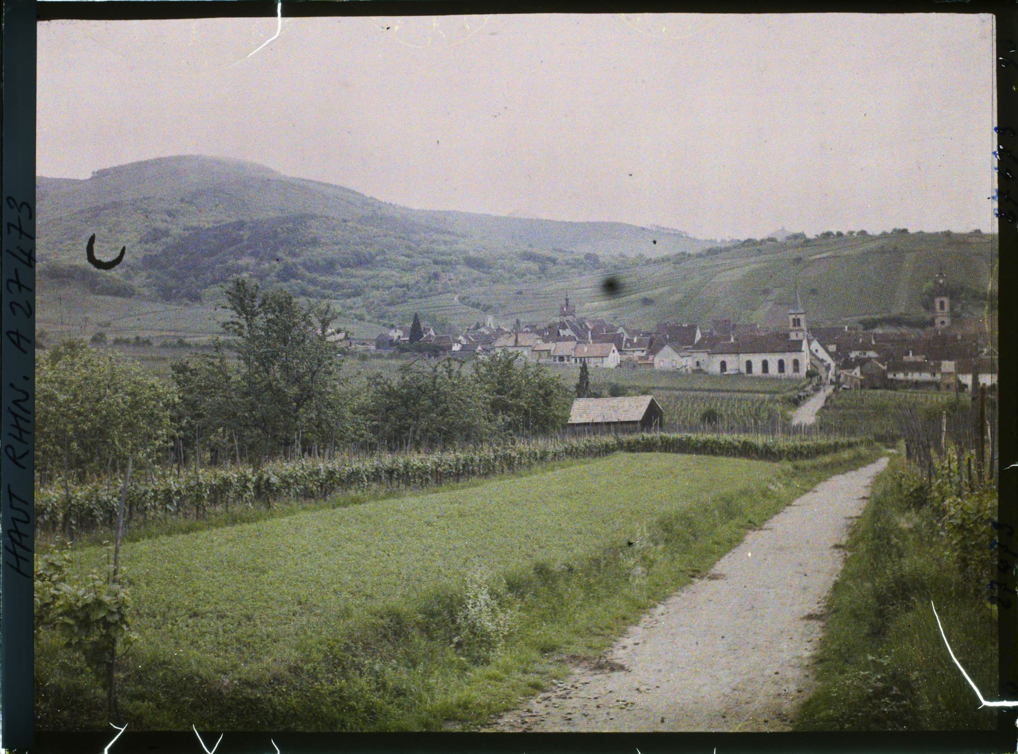 Image représentant France, Riquewihr, Vue d'ensemble sur la ville venant de Kienzheim