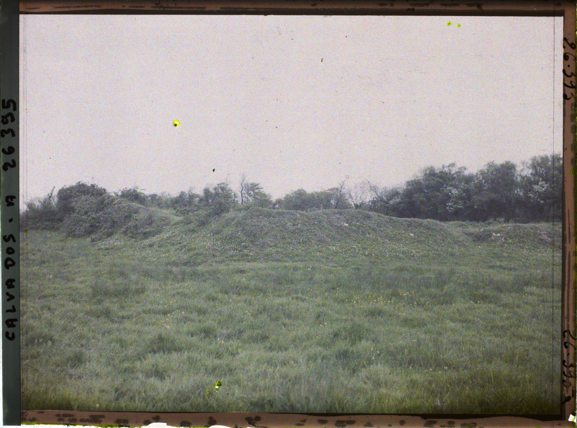 Image représentant Emplacement de l'enceinte fortifiée et du château fort de Maisy