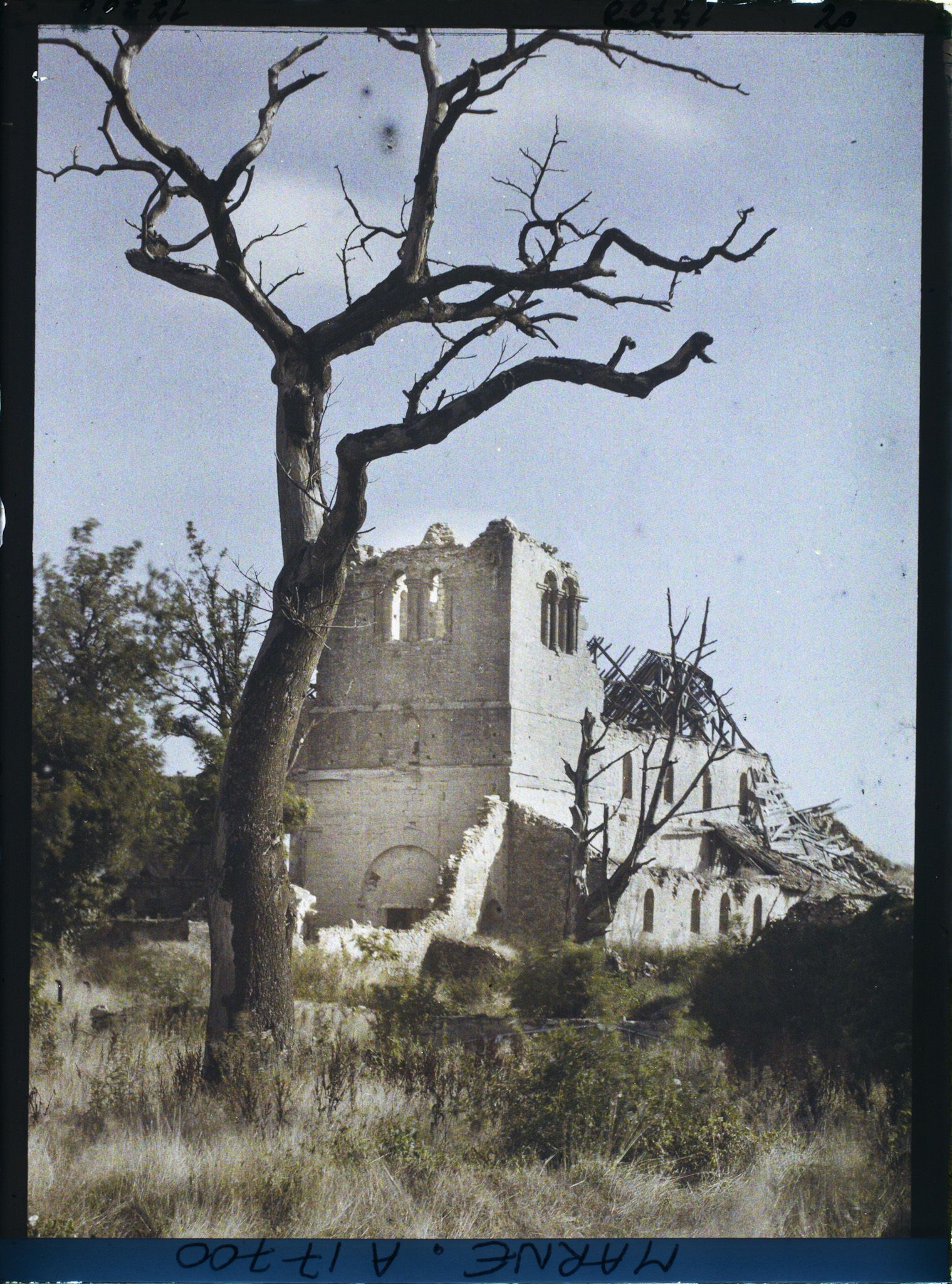 Image représentant France, St Thierry, Extérieur de l'Eglise