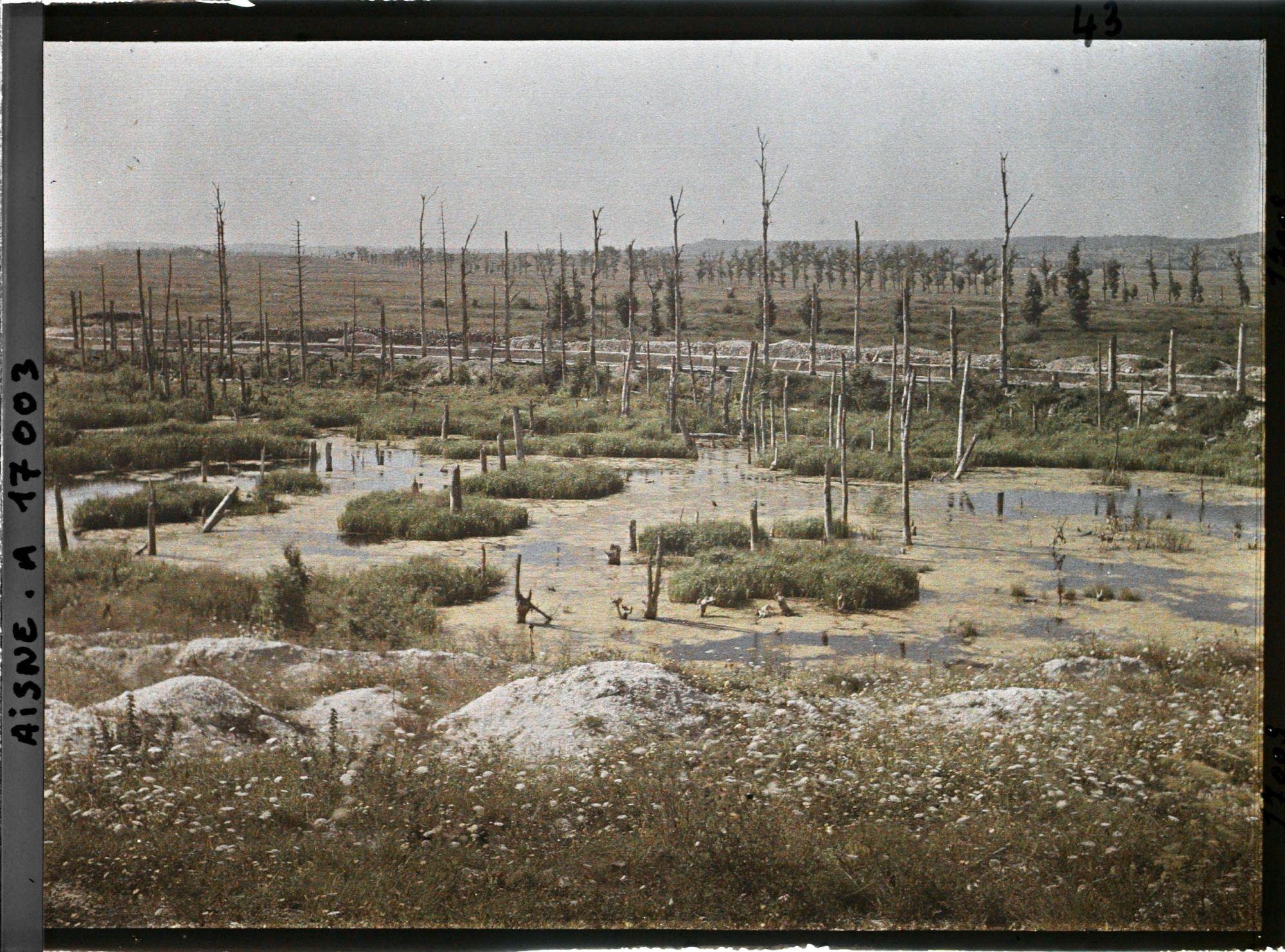 Image représentant France, Les Marais de la Cote 108 et les arbres déchiquetés