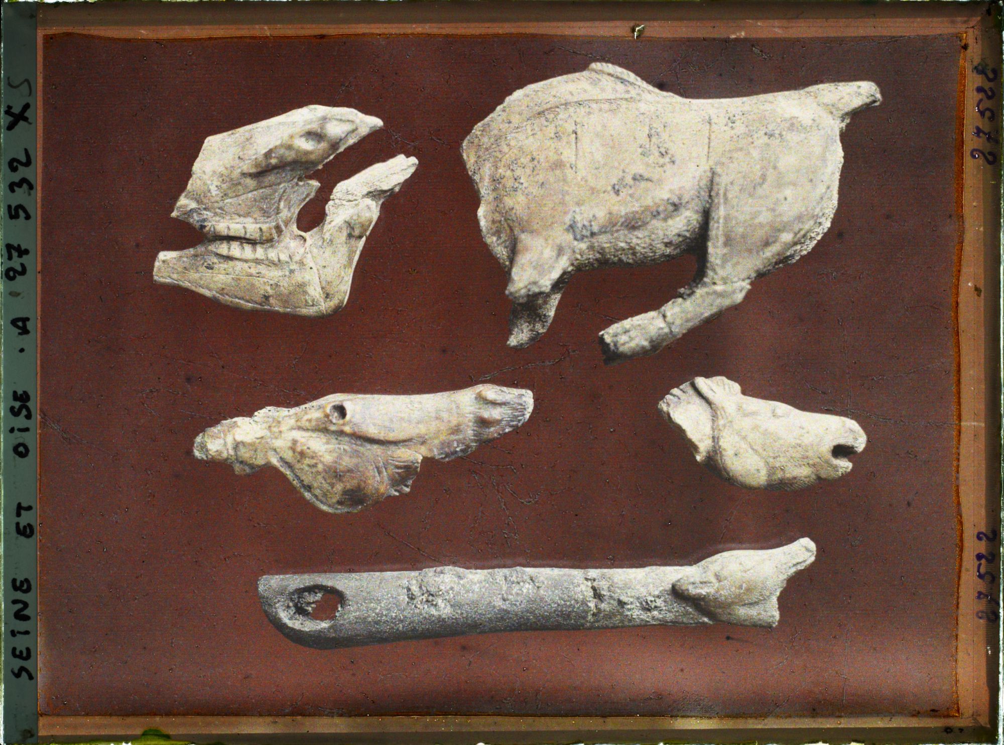 Image représentant France, St Germain-en-Laye, Mas d'Azil (Ariège) Crâne de Cheval 47026. Bison, partie supérieure de Crâne de Cheval-Petite tête de Cheval, 47343. Tout est en pal de Renne. Fragment de propulseur 47096.