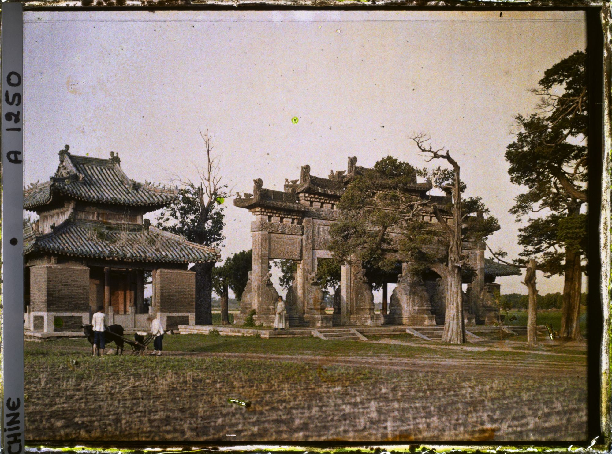 Image représentant Shendao (" voie de l'Ame "), vers Konglin, la nécropole de la famille de Confucius