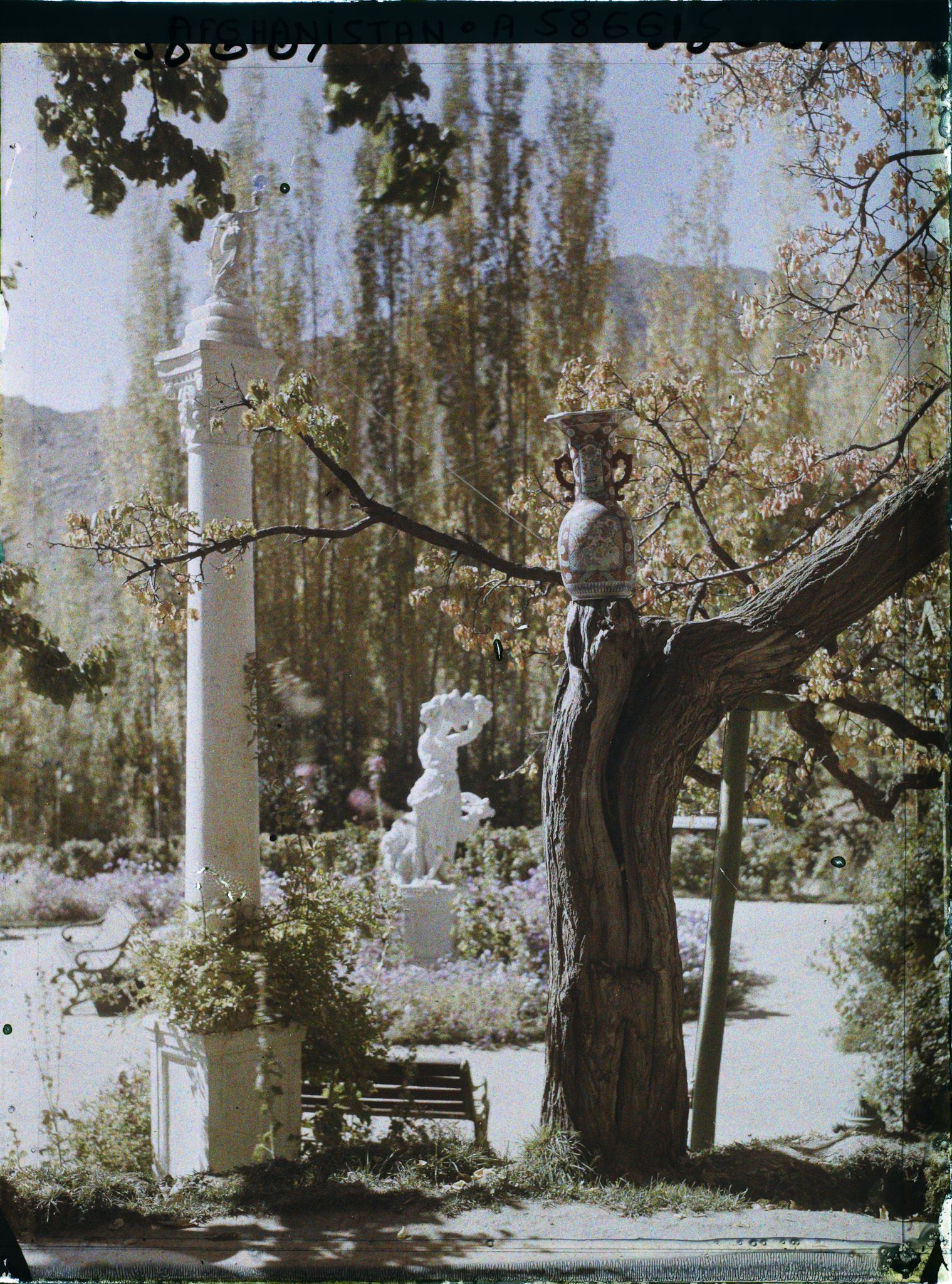 Image représentant Afghanistan, Paghman, Jardin du Palais du Roi - Coin du Jardin au rond point