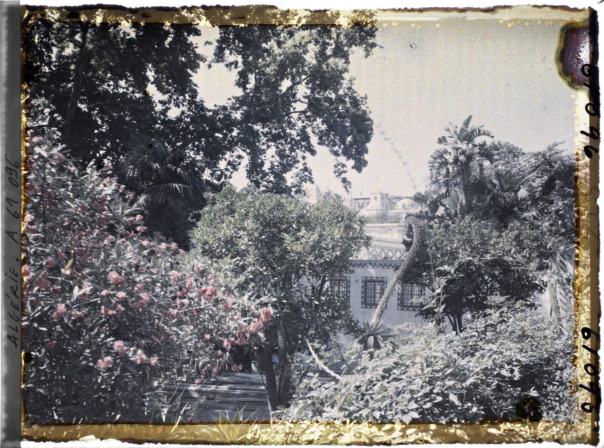 Image représentant Le palais du Bardo, le jardin