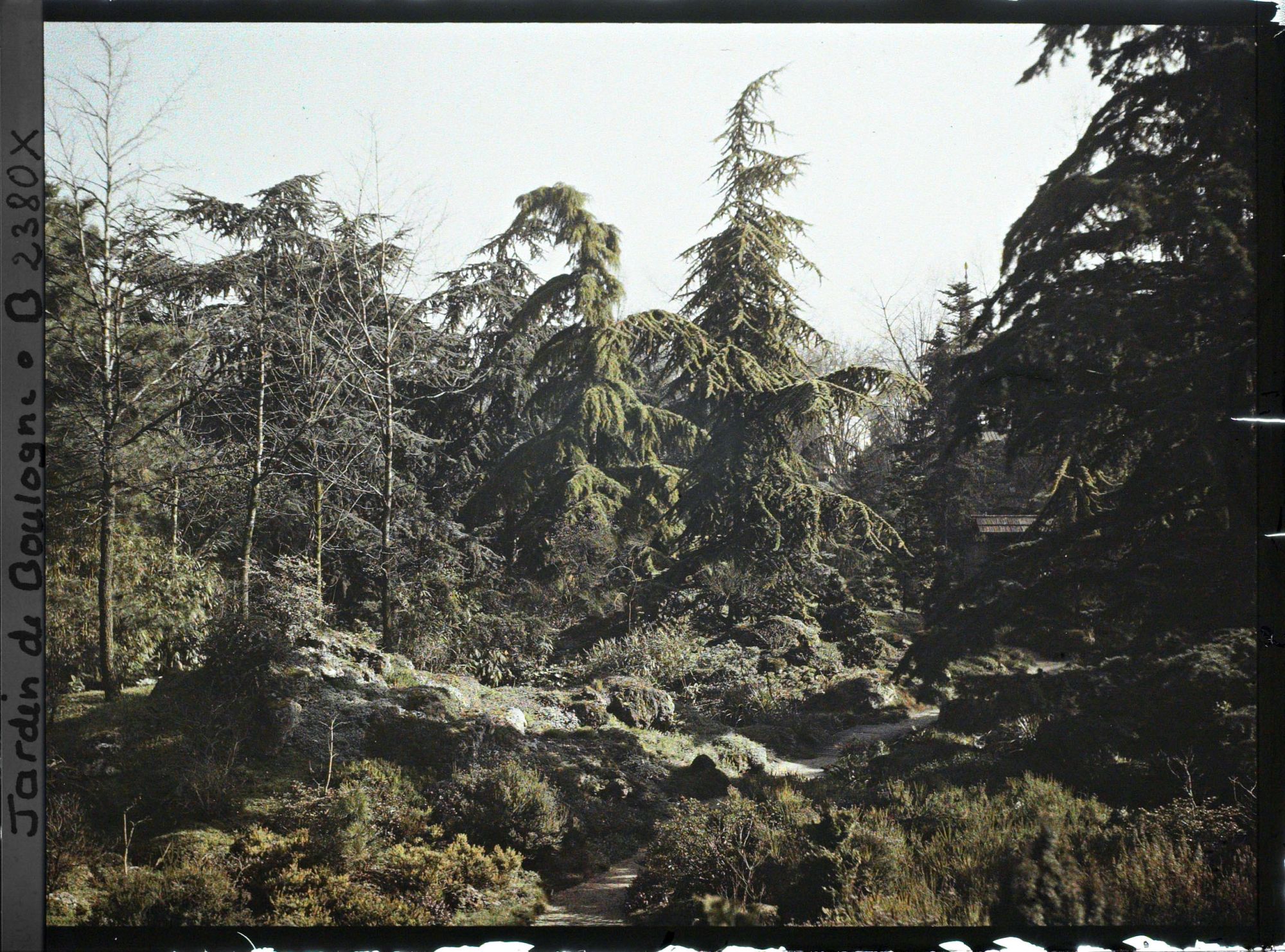 Image représentant Espace rocailleux et arboré du " sanctuaire japonais " avec une allée menant au " village japonais "