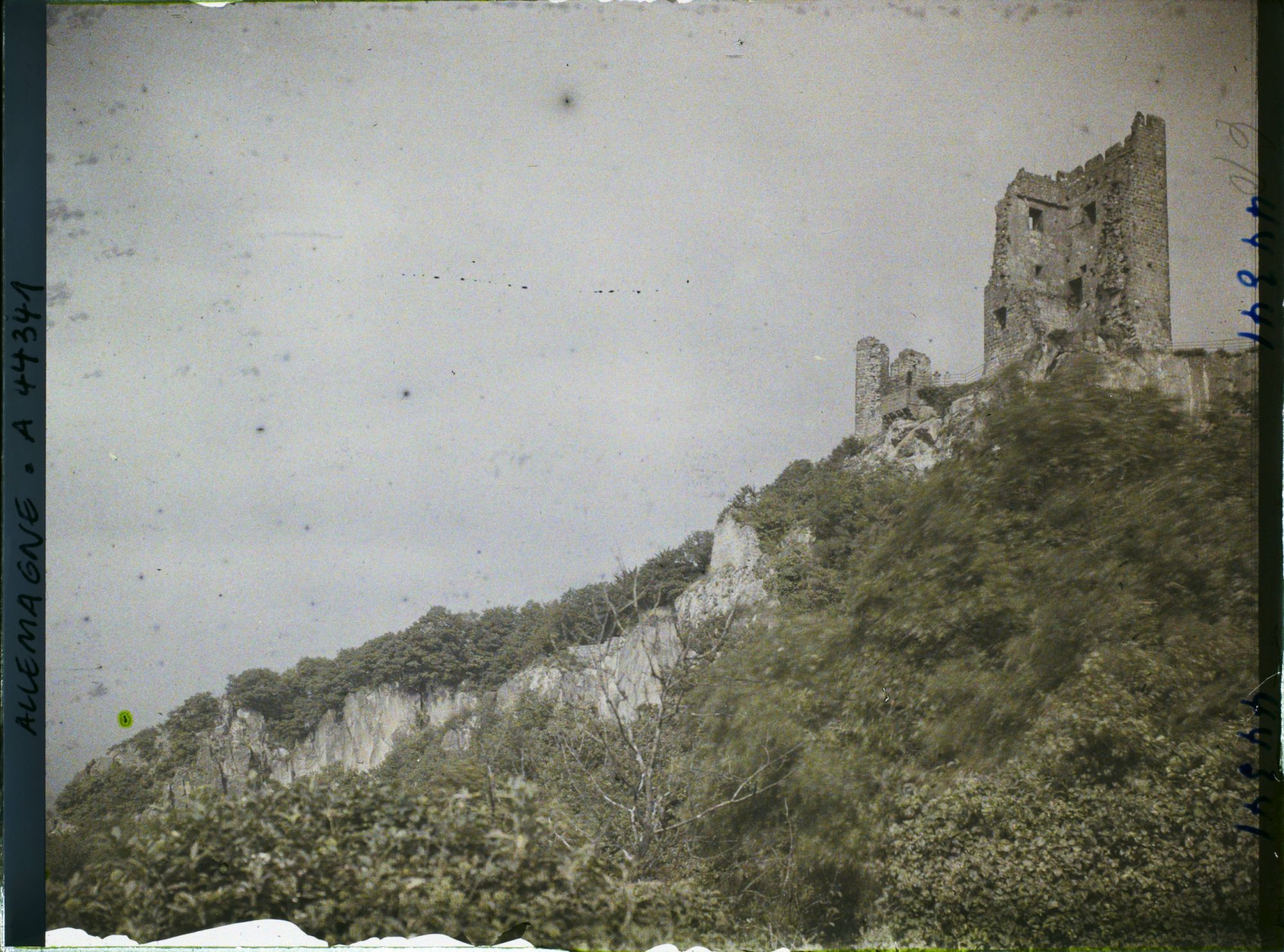Image représentant Allemagne, Königswinter, Ruines de Drachenfels