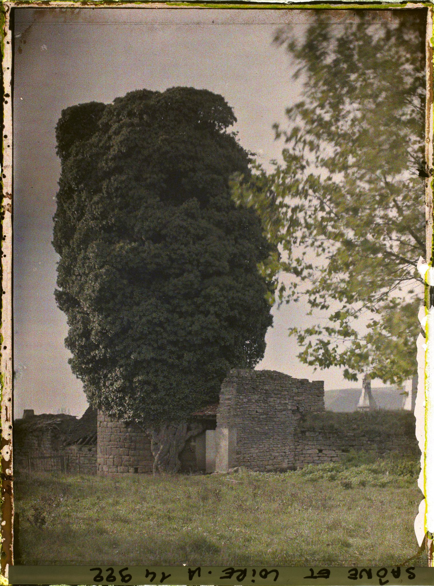 Image représentant La tour François Ier