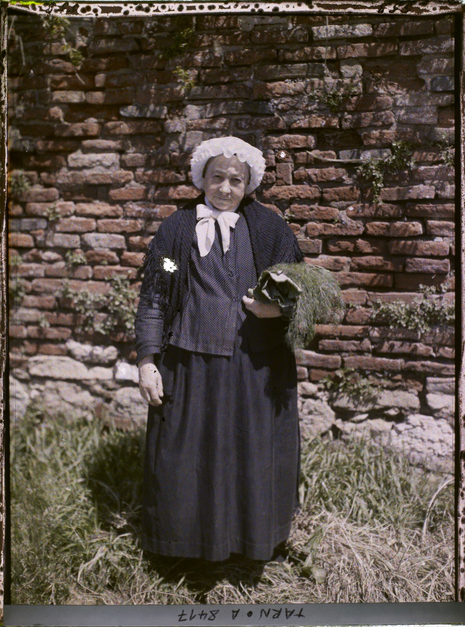 Image représentant Vieille femme coiffée d'un bonnet tuyauté du pays albigeois