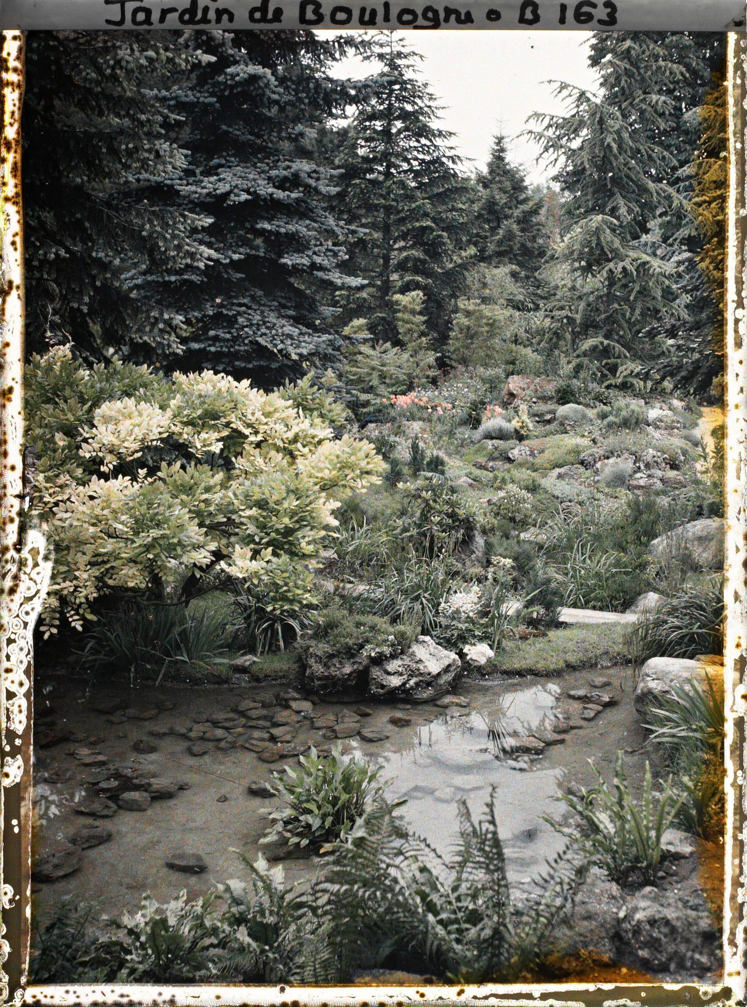 Image représentant Glycine au bord de l'eau et butte fleurie du " sanctuaire japonais ", peu éloignée de la façade de temple