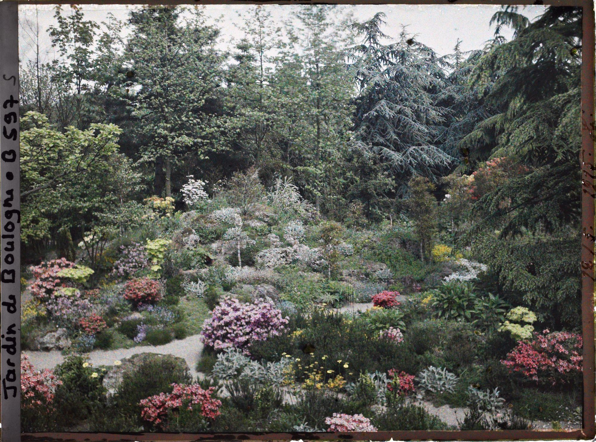 Image représentant jardin japonais