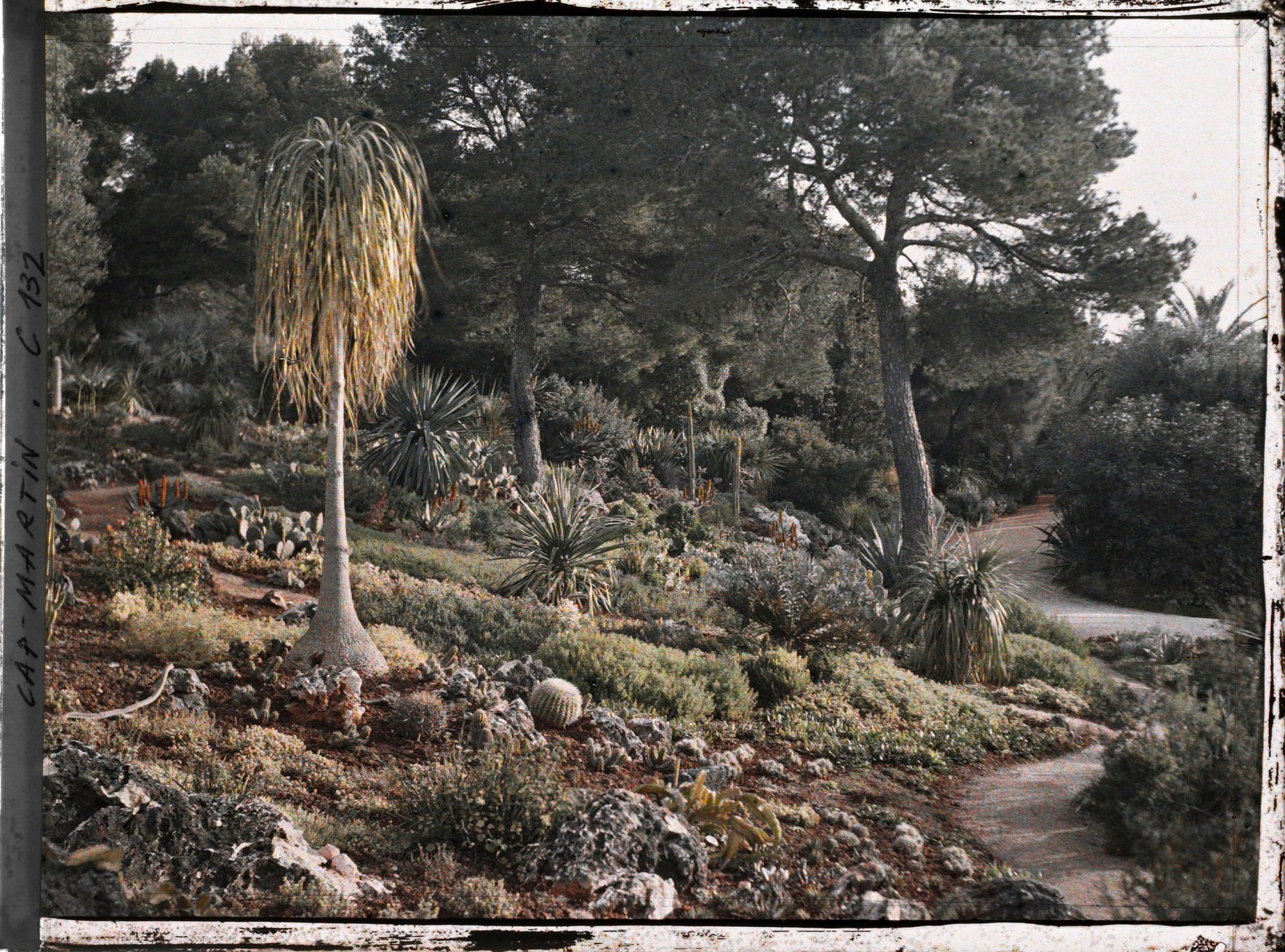 Image représentant Le jardin