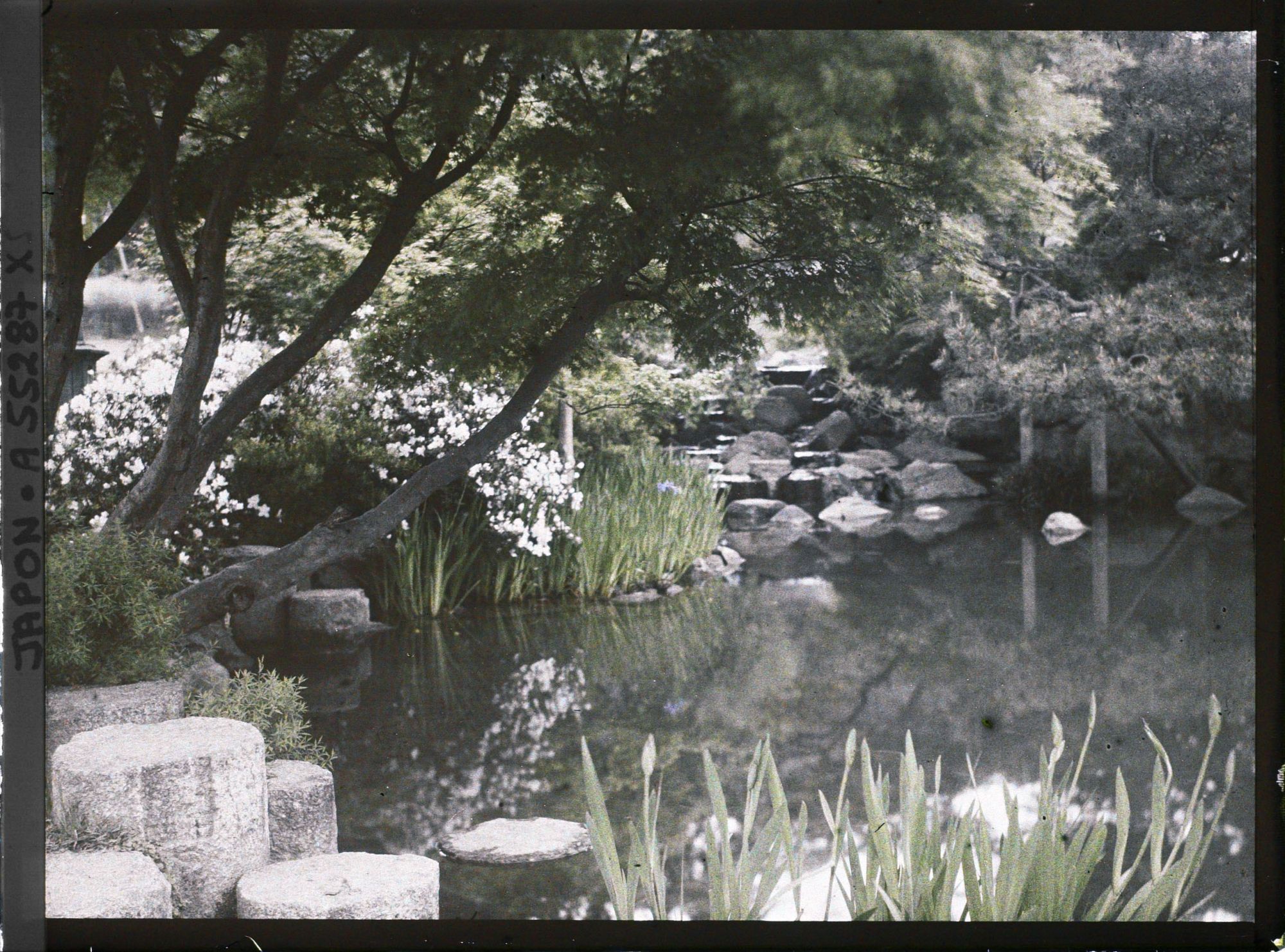 Image représentant Le parc Maruyama (Maruyama kôen)