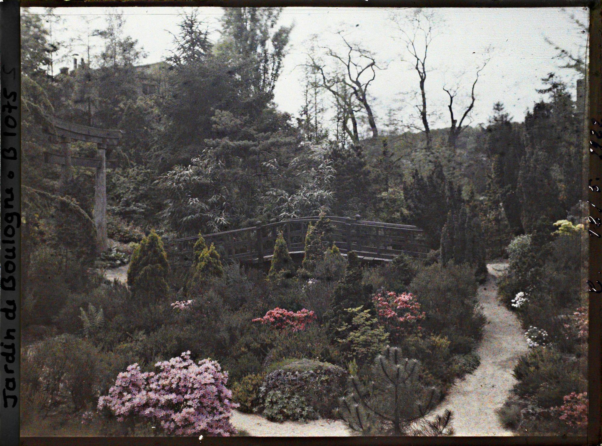 Image représentant Rocaille fleurie et pont du " sanctuaire japonais " entre torii et sorinto, vus en direction du quai