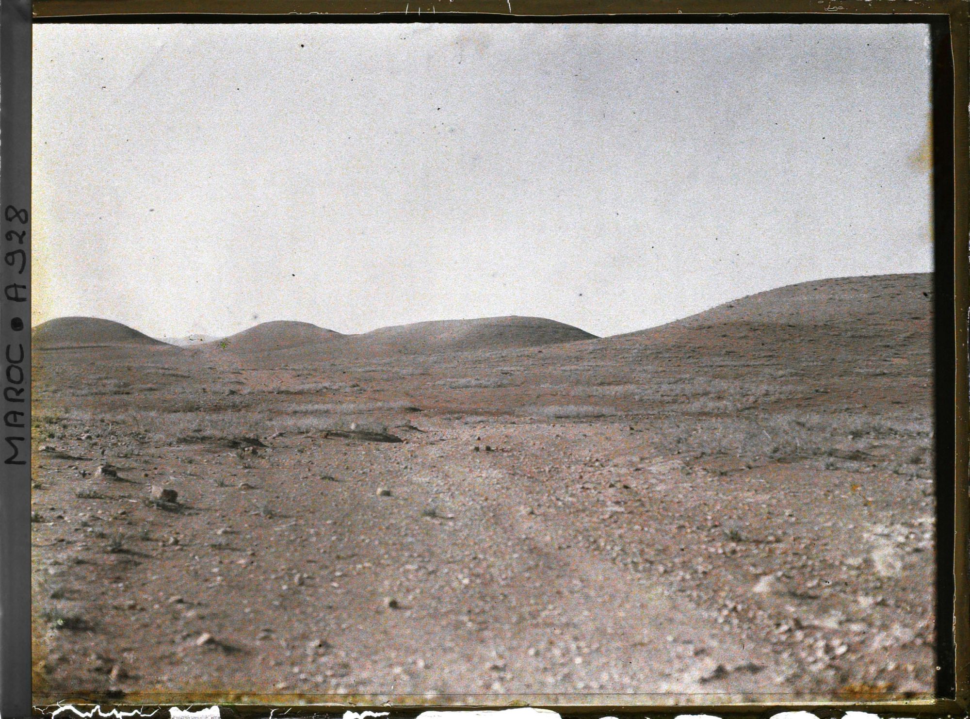 Image représentant Le bled