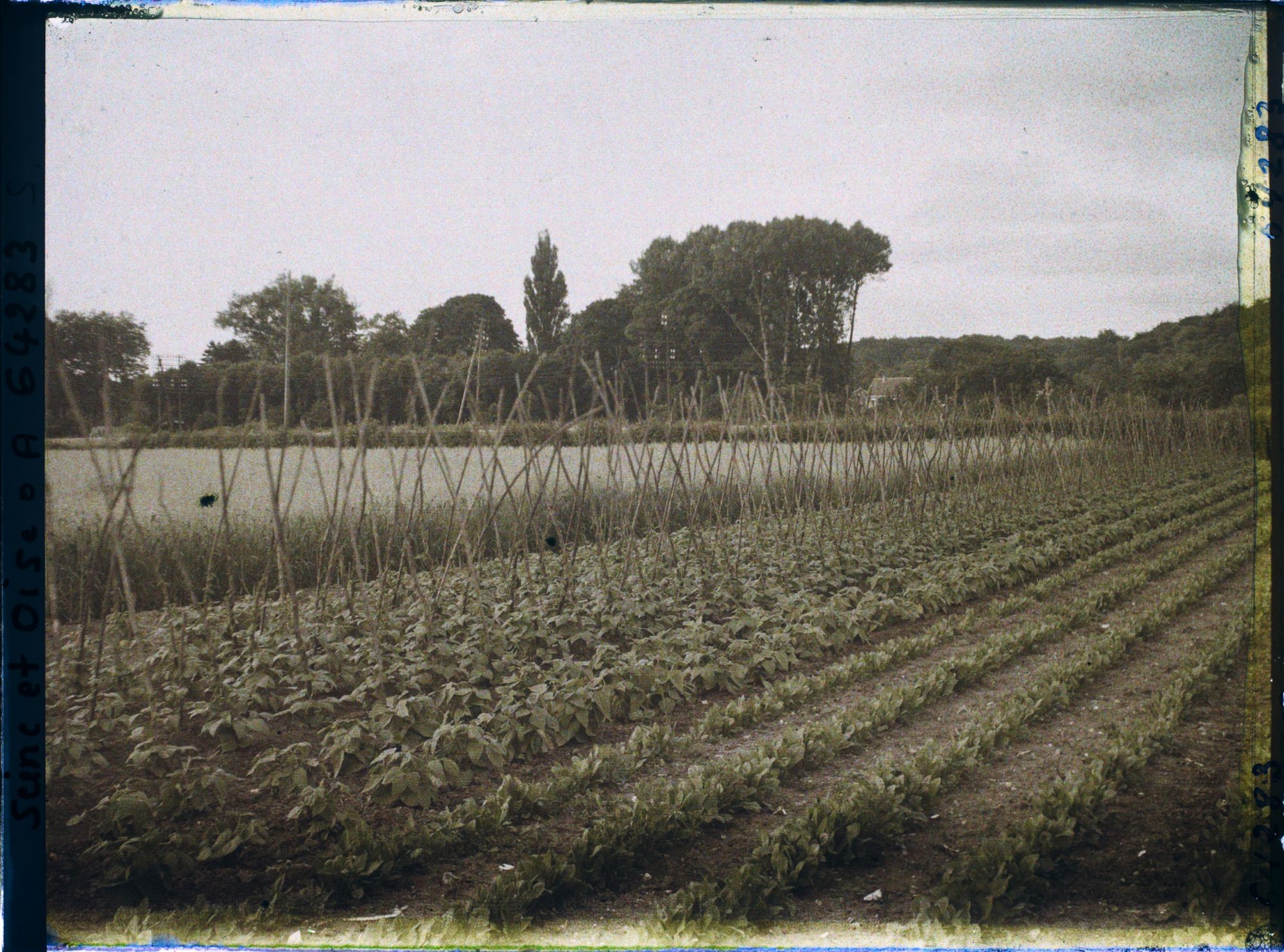 Image représentant Ile de France, Presles, Légumes et Céréales