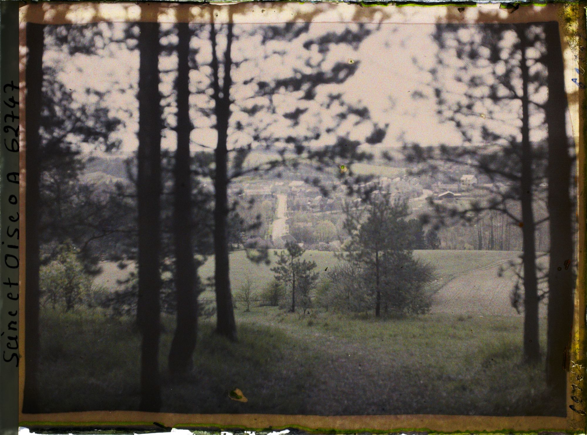 Image représentant Ile de France, Vallangoujard, Vue sur le village à travers les sapins