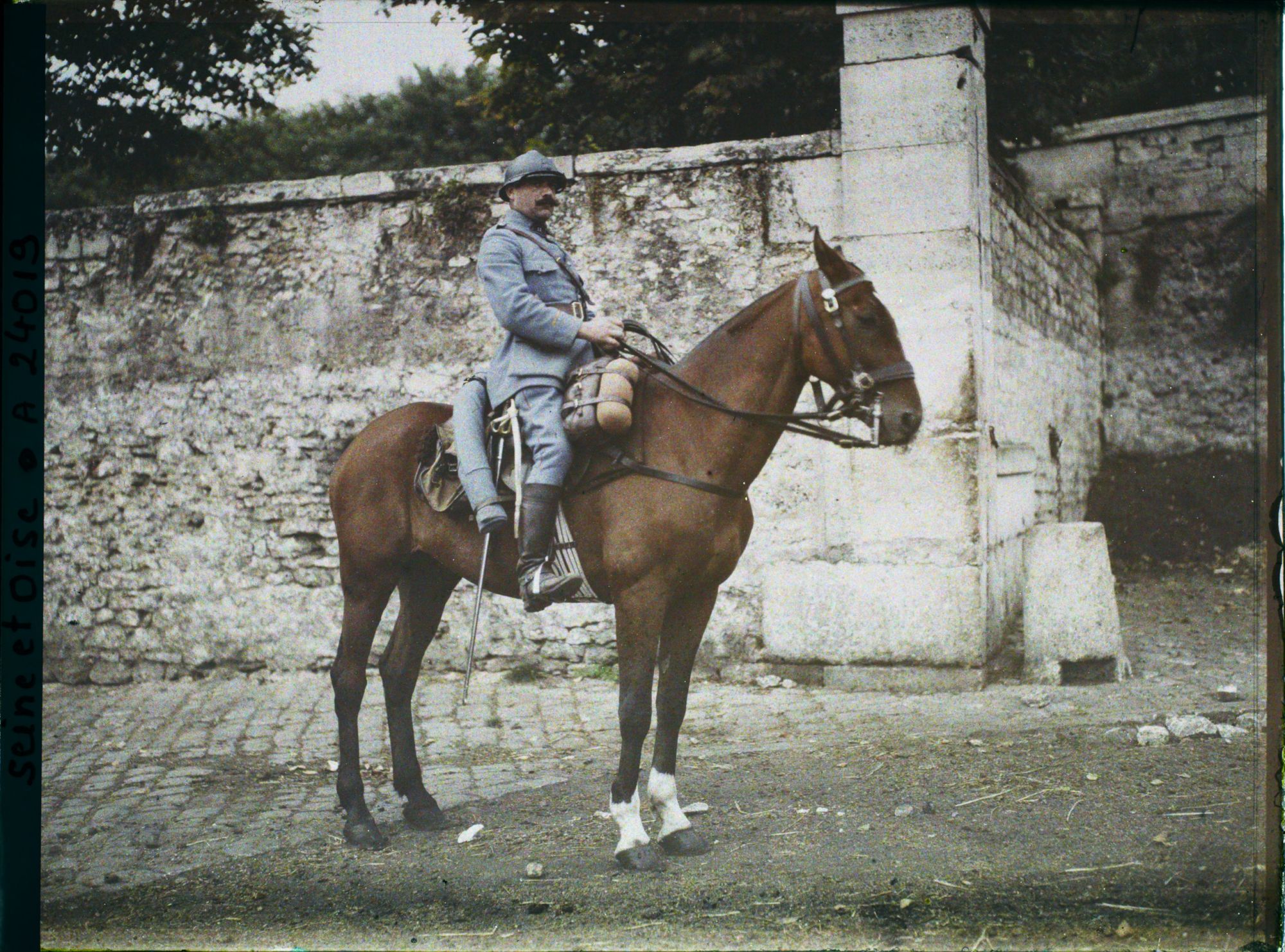 Image représentant Cheval normand de 6 ans ayant fait toute la Campagne appartenant à l'Adjudant Carry, 12ème Cuirassiers